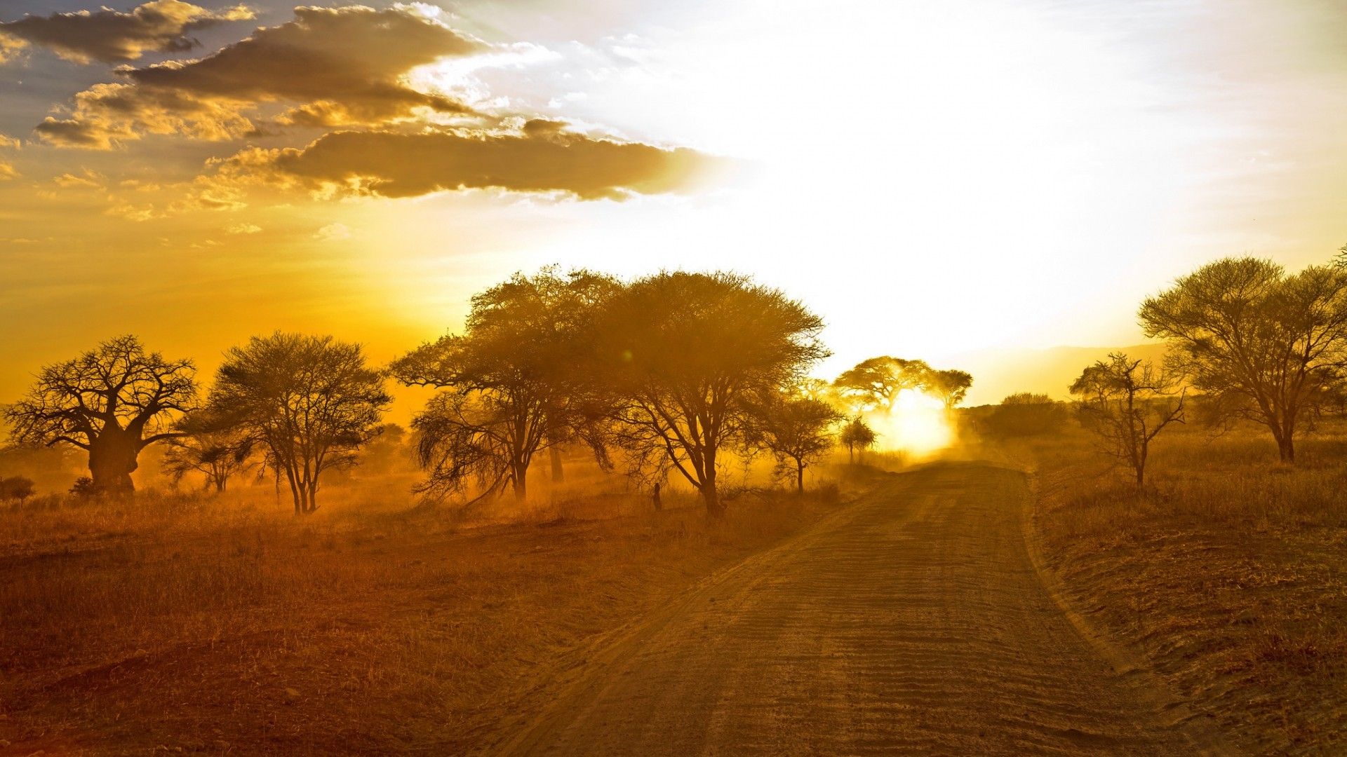 66+ fondos de pantalla africanos