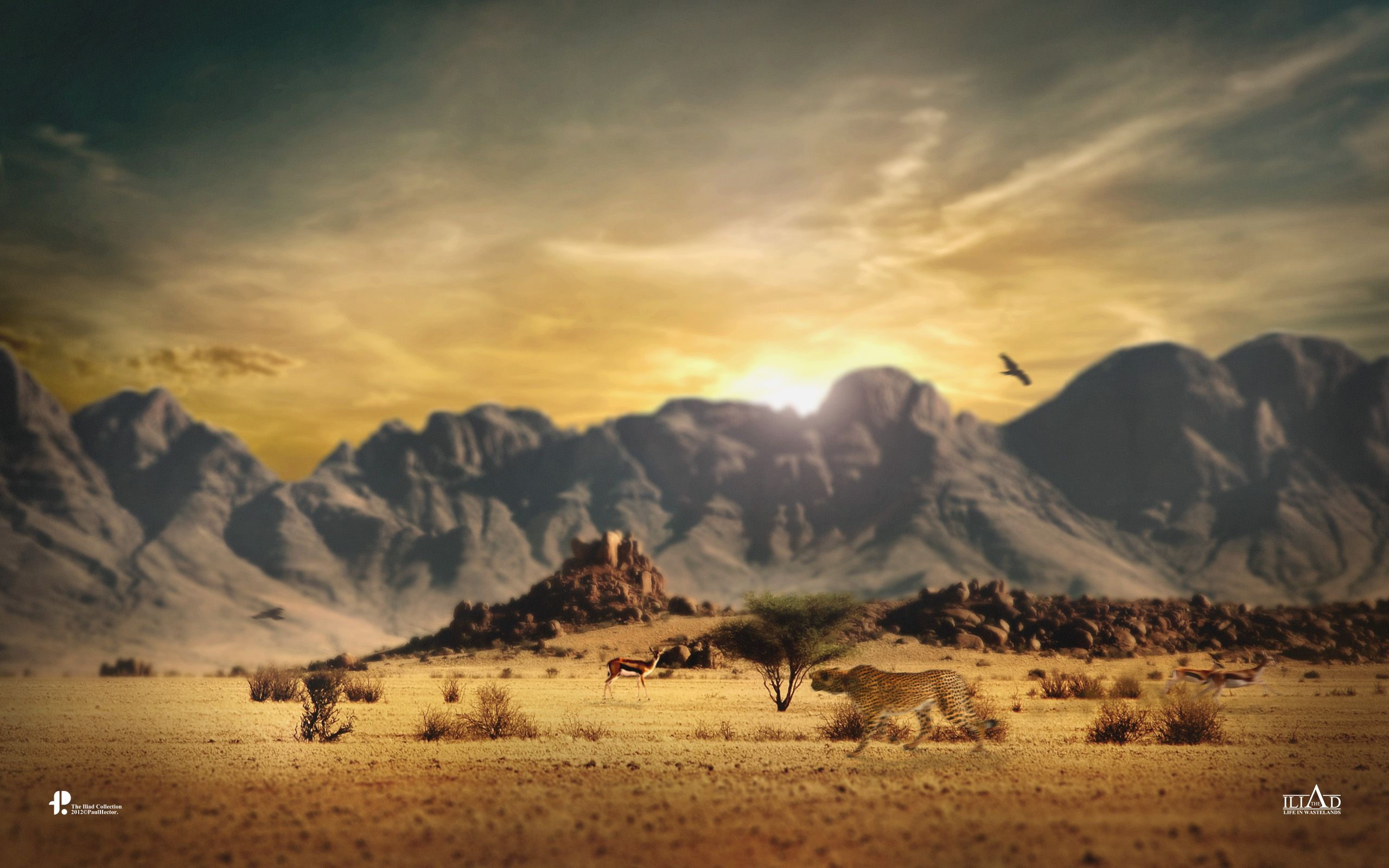 46+] African Wildlife Desktop Wallpaper