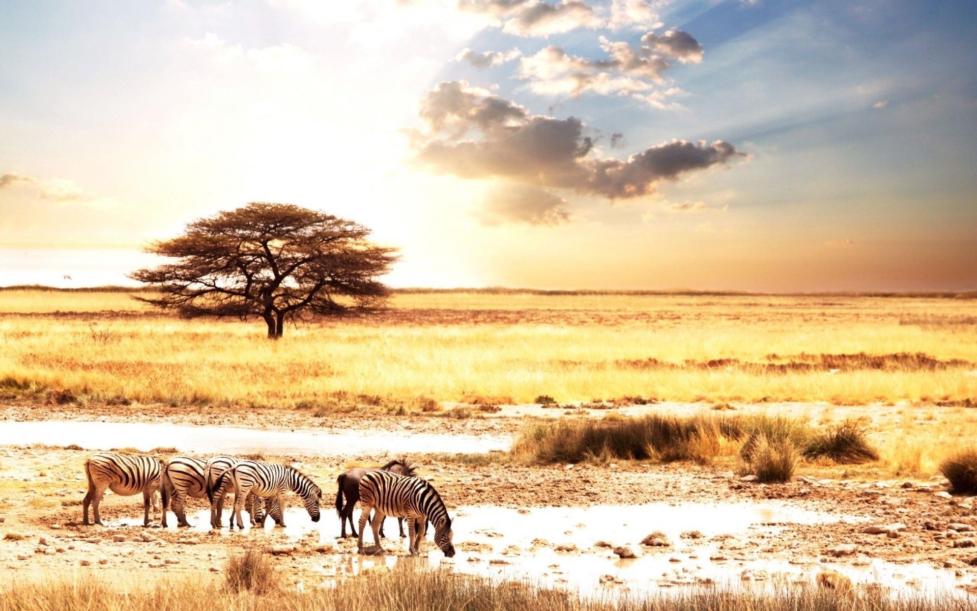 África Wallpaper Hd - simplechurch.us