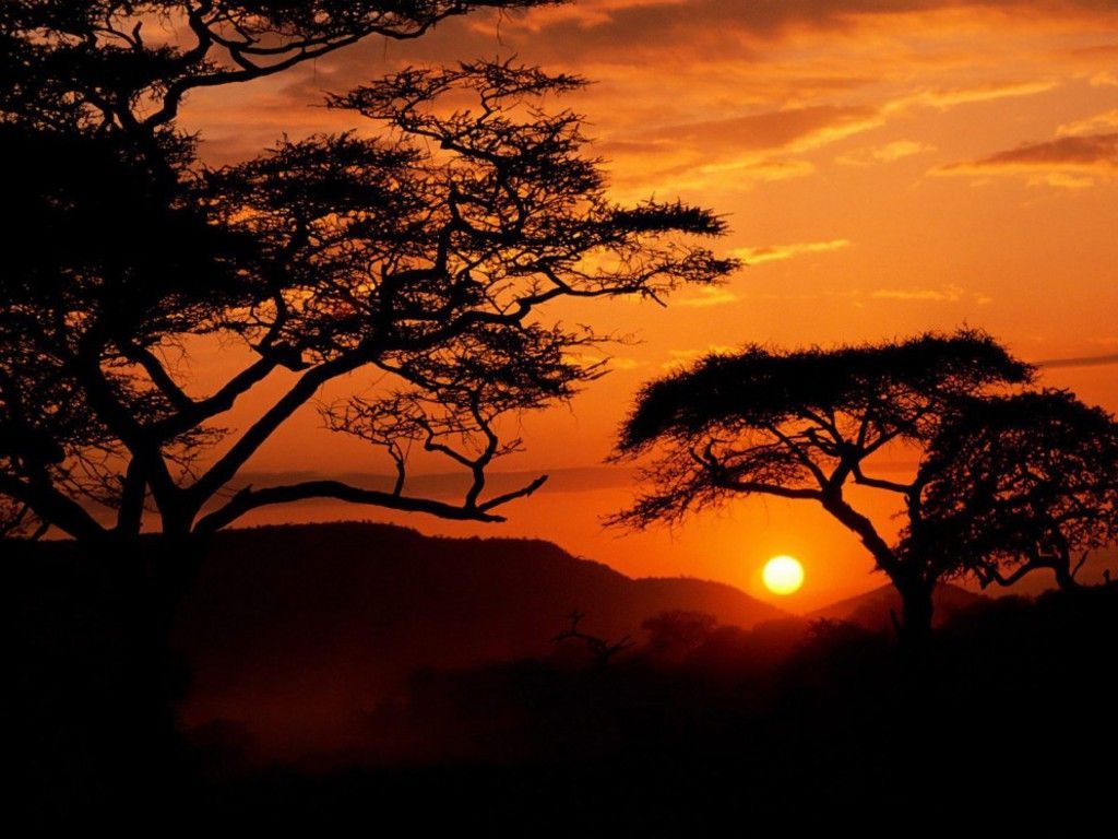 África fondo de pantalla | 1024x768 | # 57972