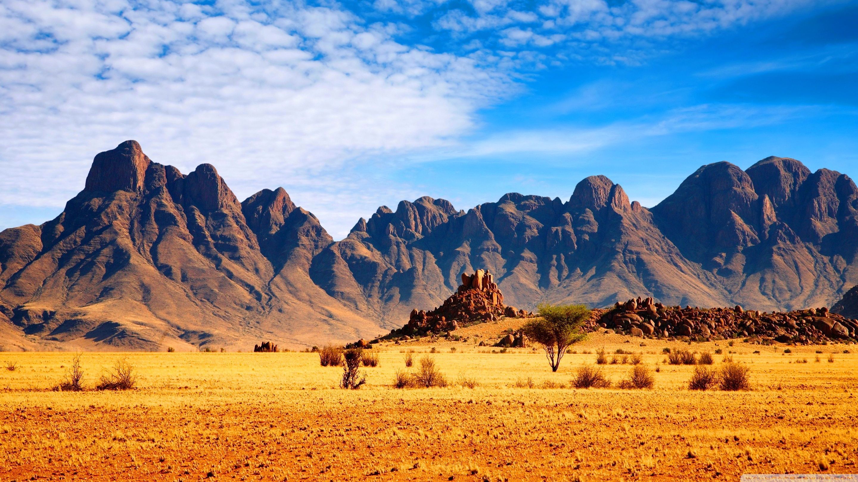 Africa 4K Wallpapers - Los mejores fondos gratis de Africa 4K - WallpaperAccess