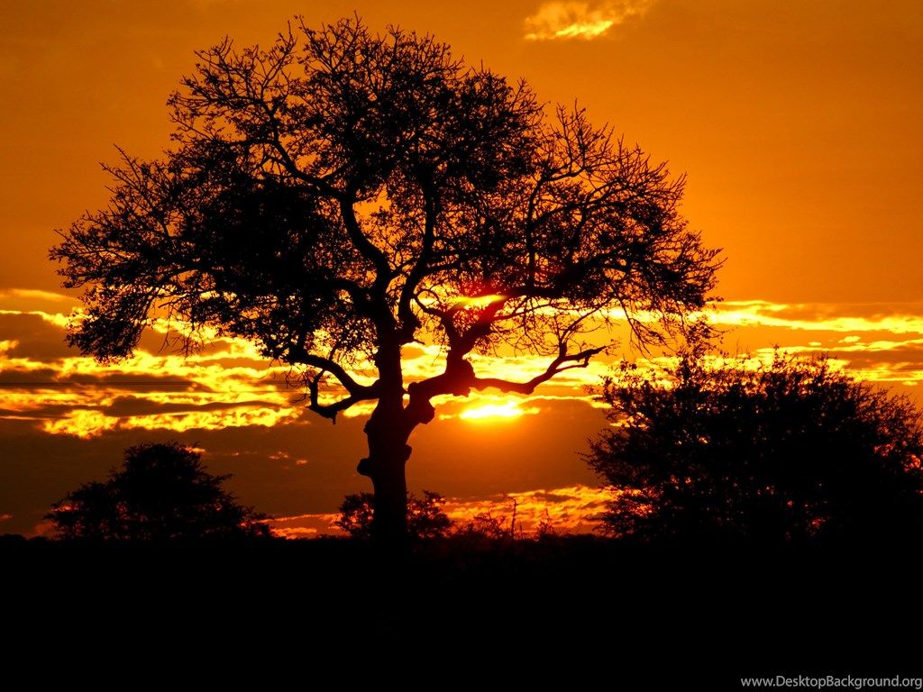 5 Kruger Park Sunset, Sudáfrica Wallpapers 1756 :: Sunset Field