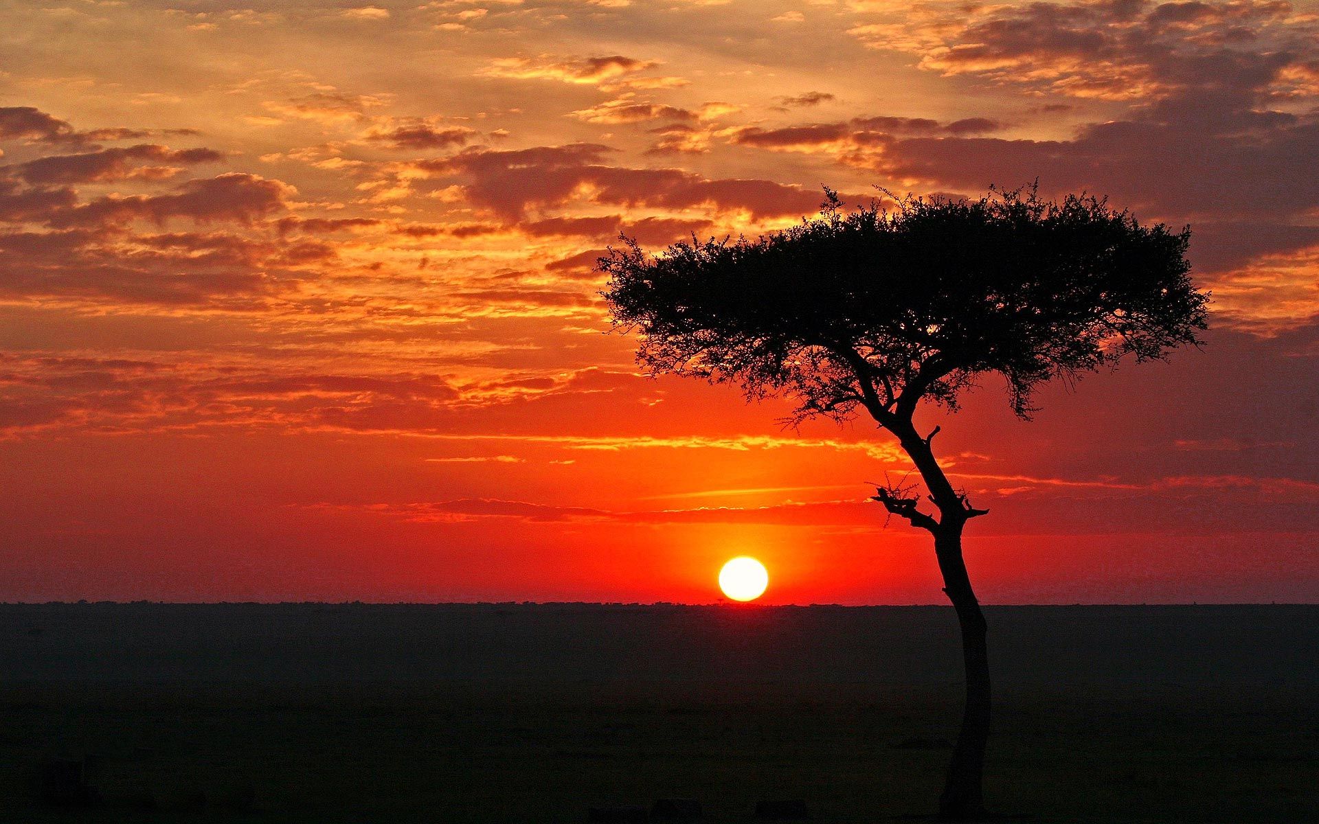 Africa Wallpaper Hd (30+), Encuentra fondos de pantalla HD gratis