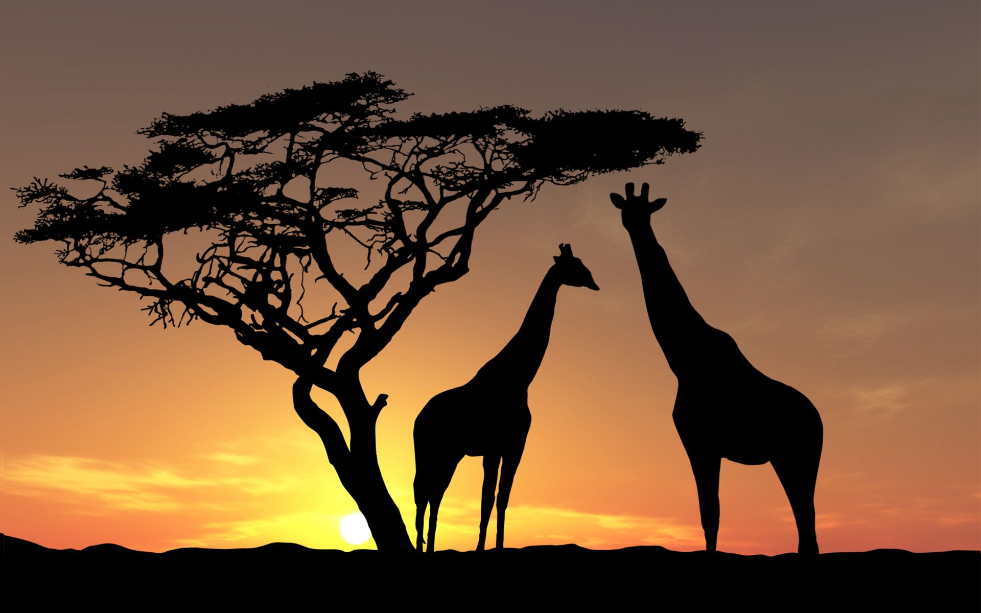 Fondo de pantalla de África # 6841863