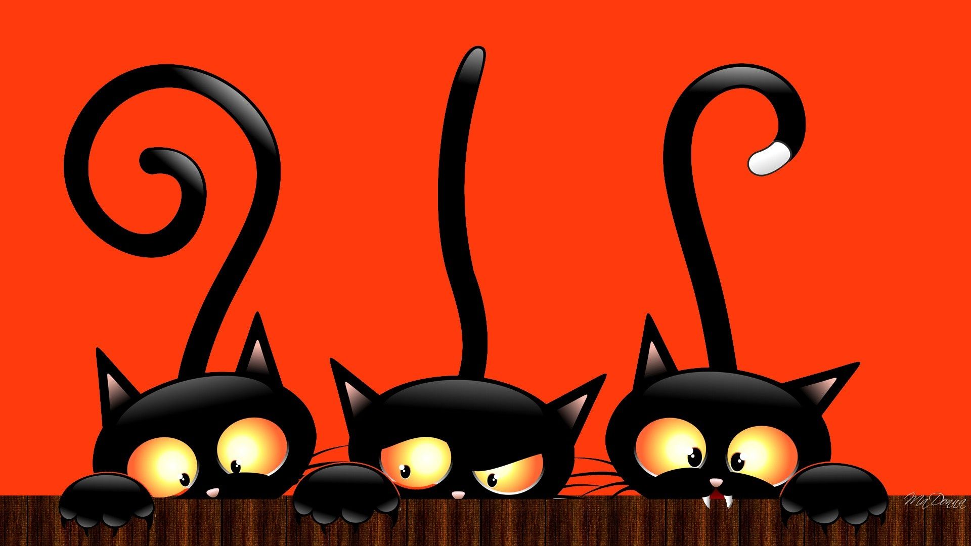 Fondo de pantalla de  1920x1080