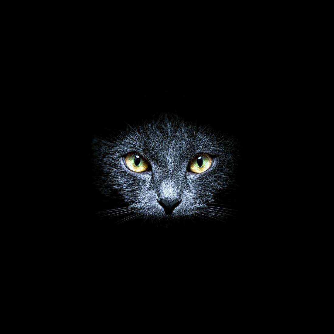Fondo de pantalla de  1100x1100