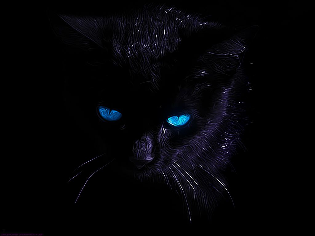 Fondo de pantalla de  1024x768
