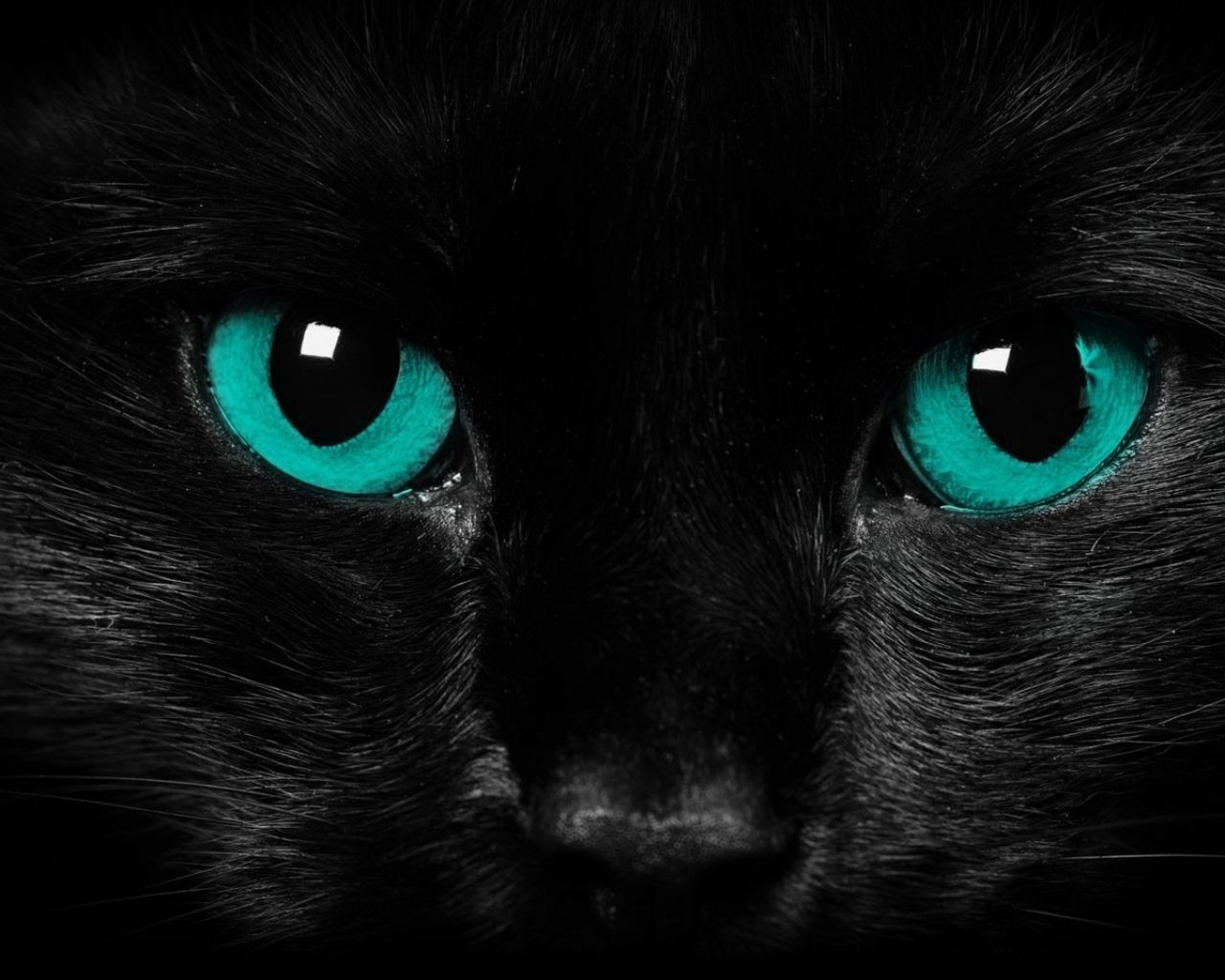 Fondo de pantalla de  1280x1024