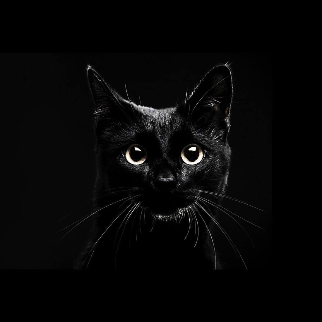 Fondo de pantalla de  1100x1100