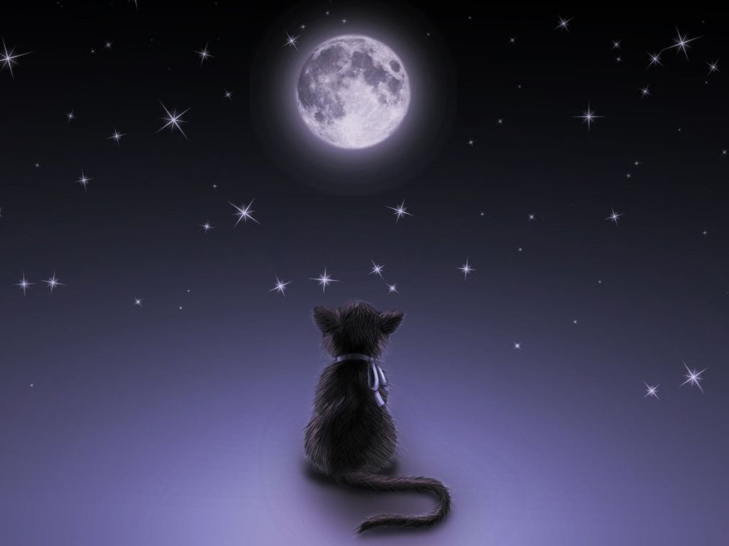 Fondo de pantalla de  1024x768