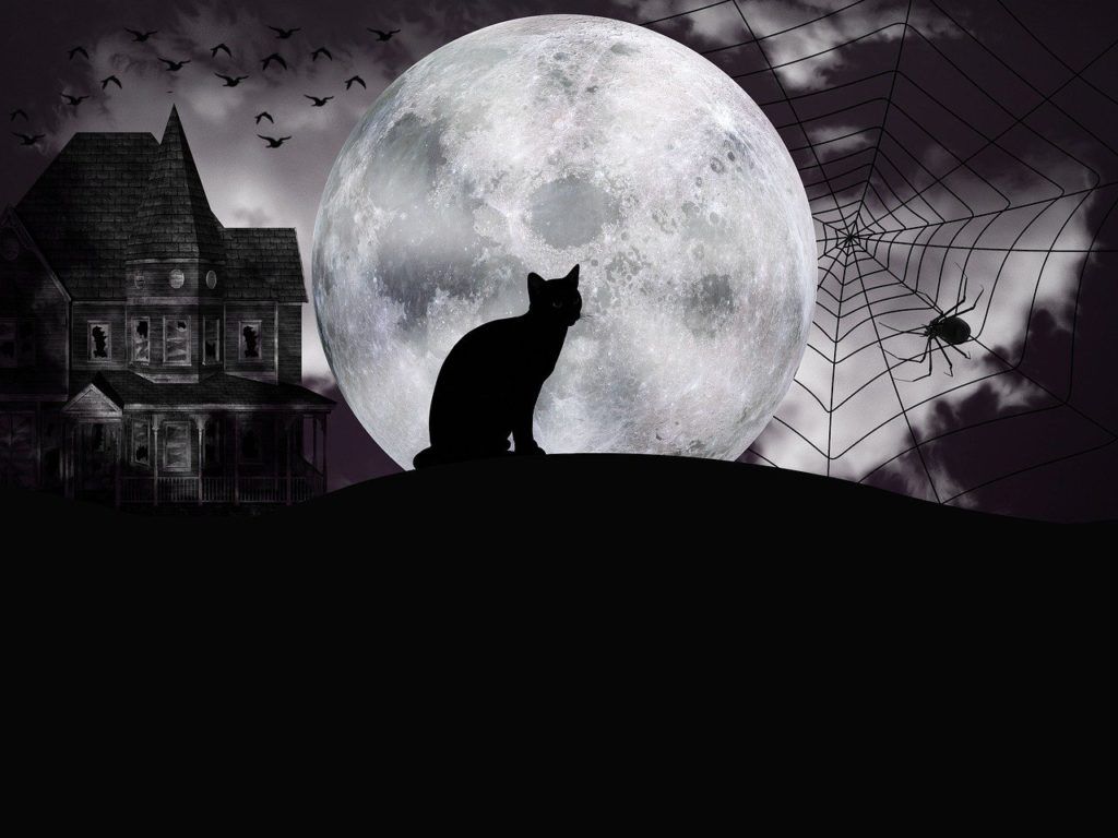 Fondo de pantalla de  1024x768