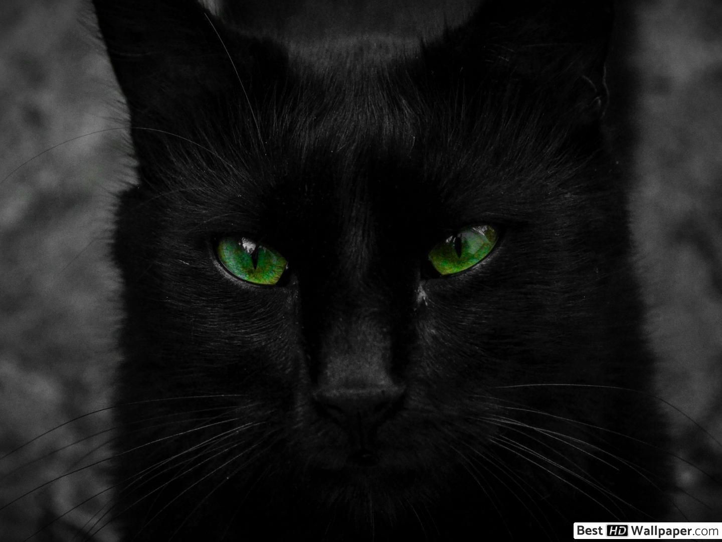 Fondo de pantalla de  1440x1080