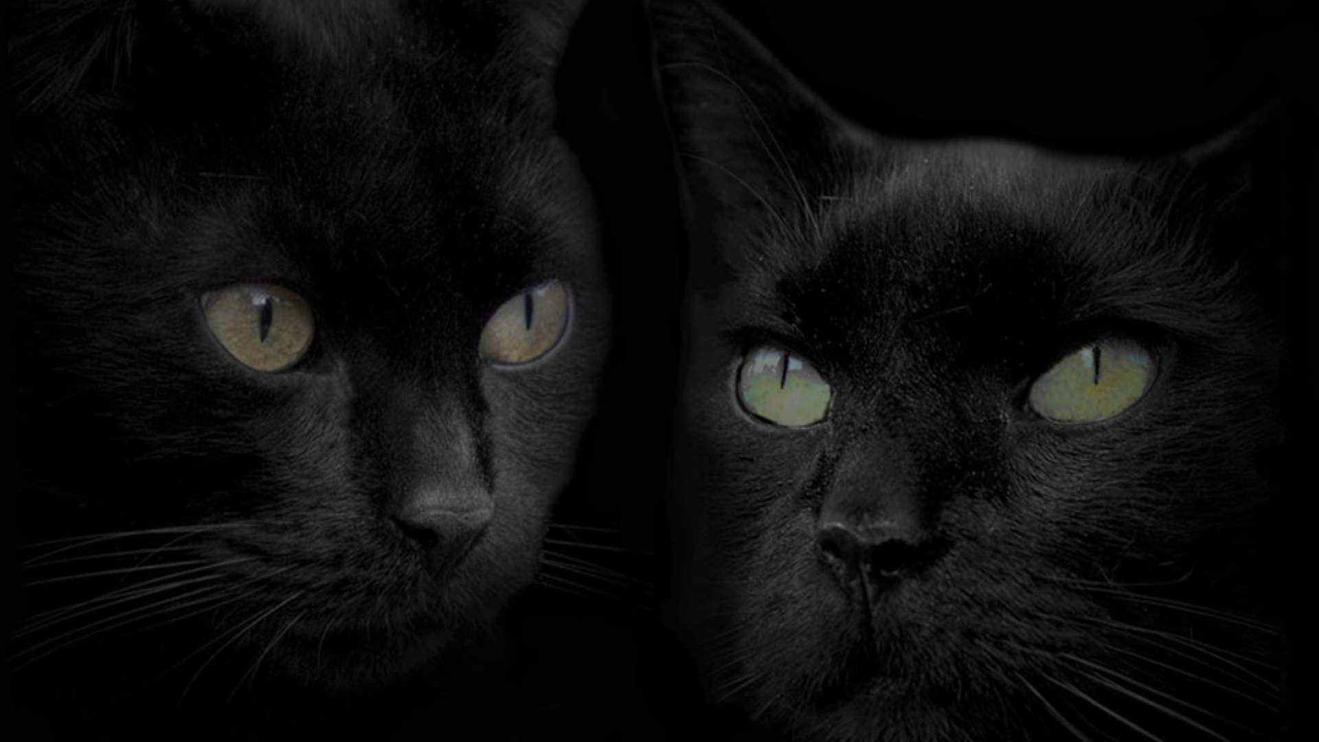 Fondo de pantalla de  1920x1080