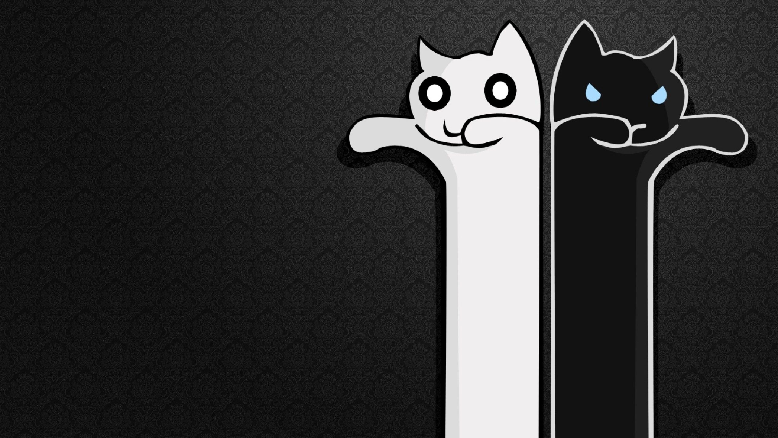 Fondo de pantalla de  2560x1440