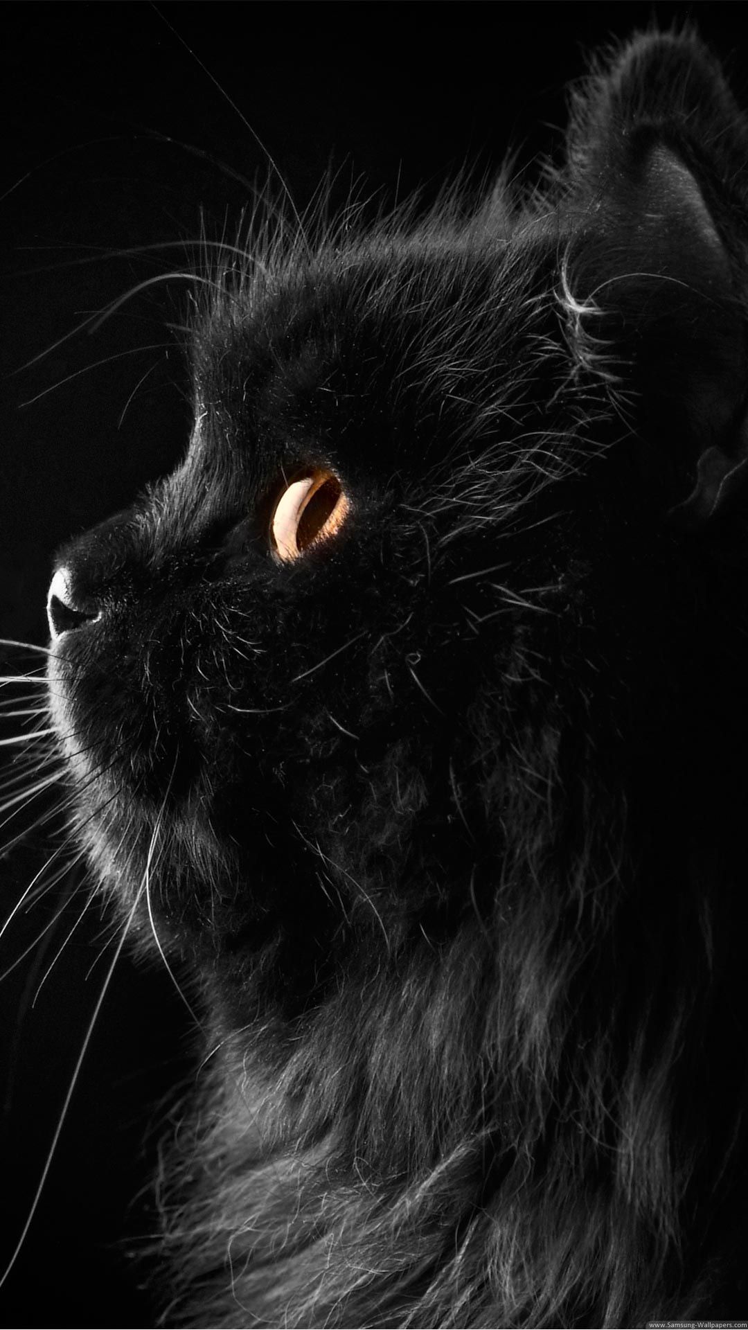 Fondo de pantalla de  1080x1920