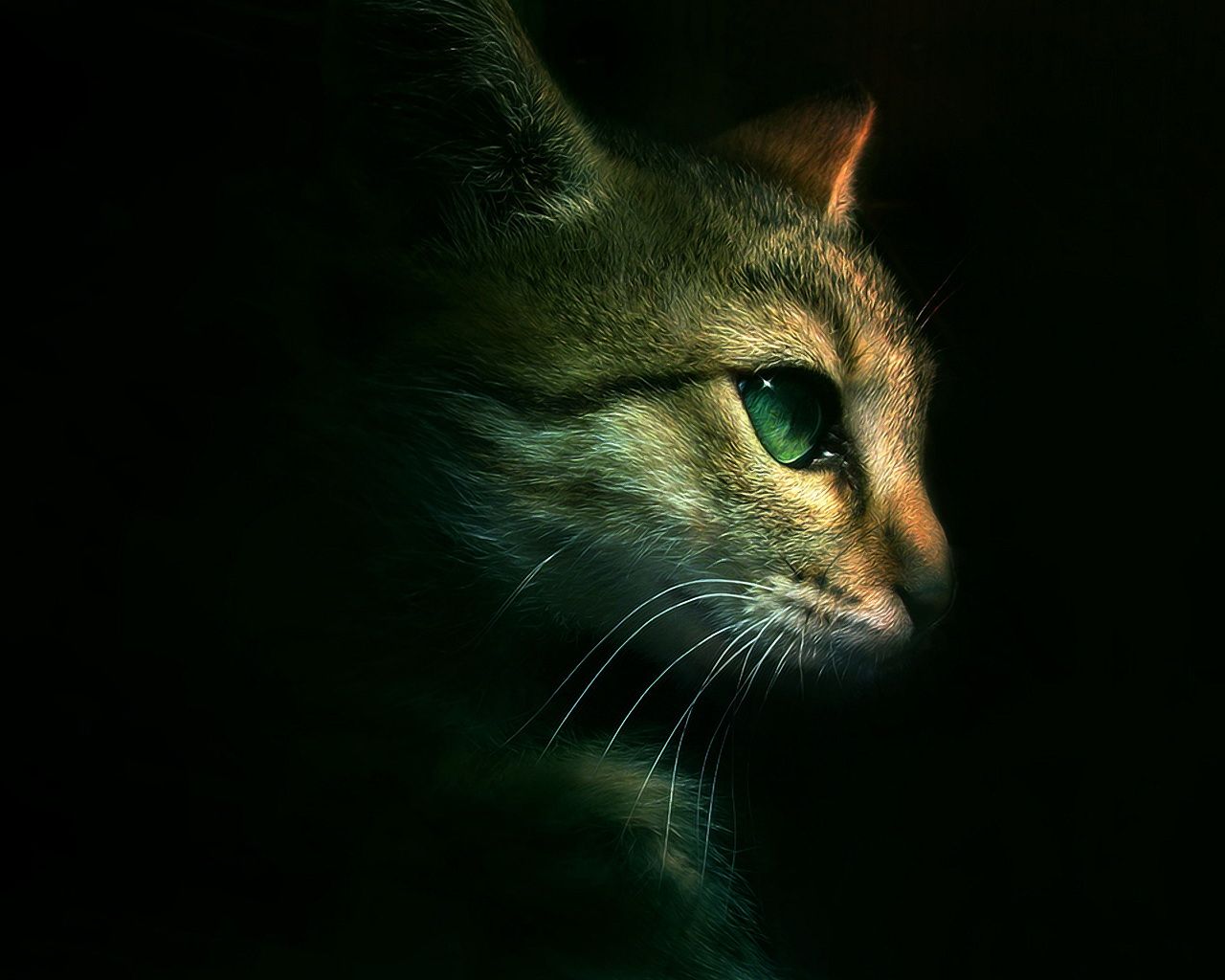 Fondo de pantalla de  1280x1024