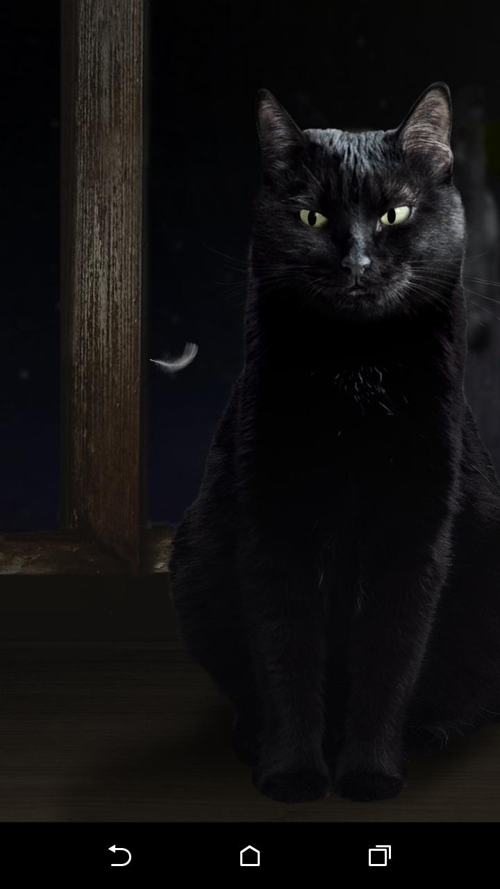 Fondo de pantalla de  720x1280