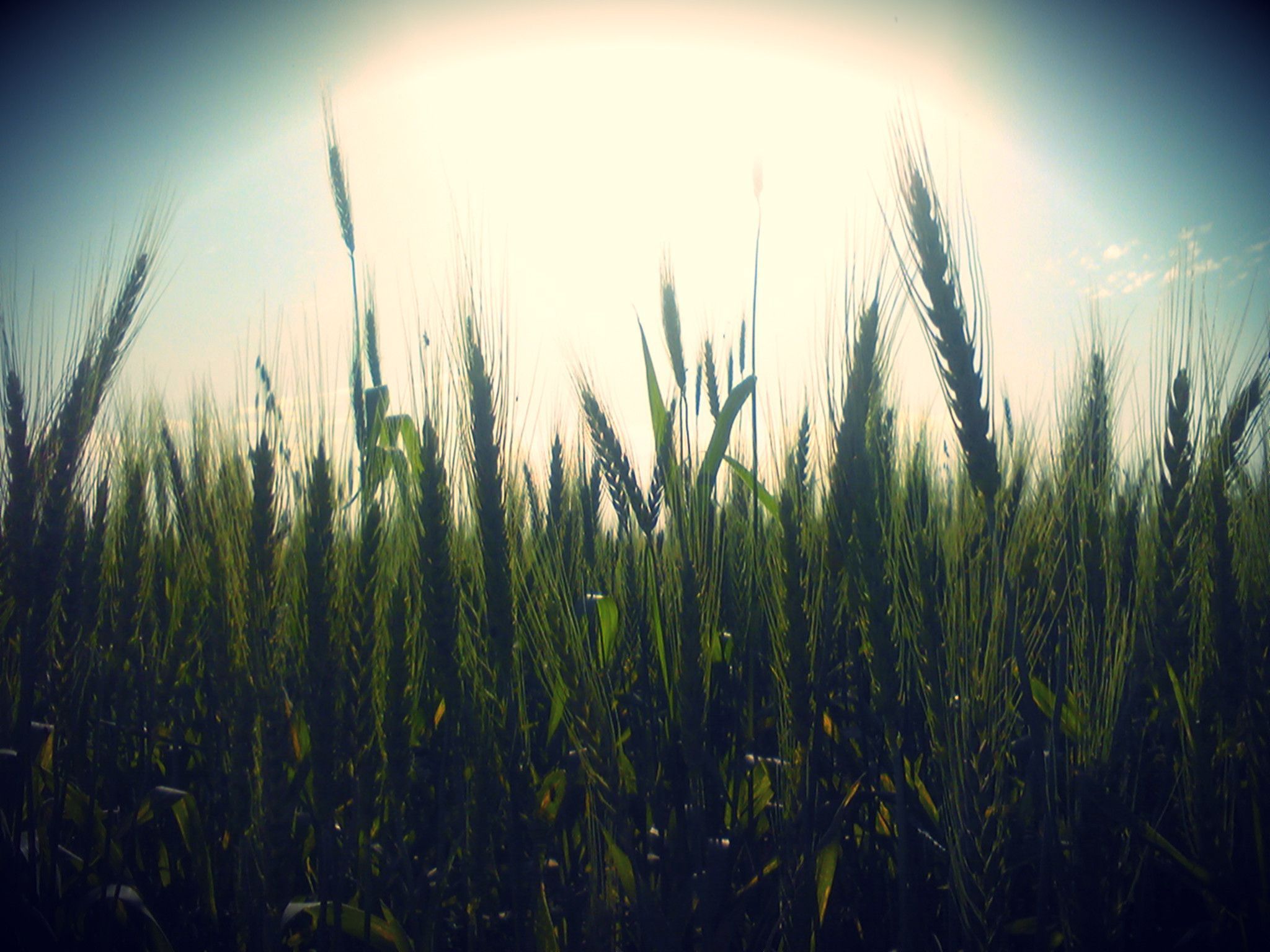 Hipster Wallpapers High Quality - Epic Wallpaperz