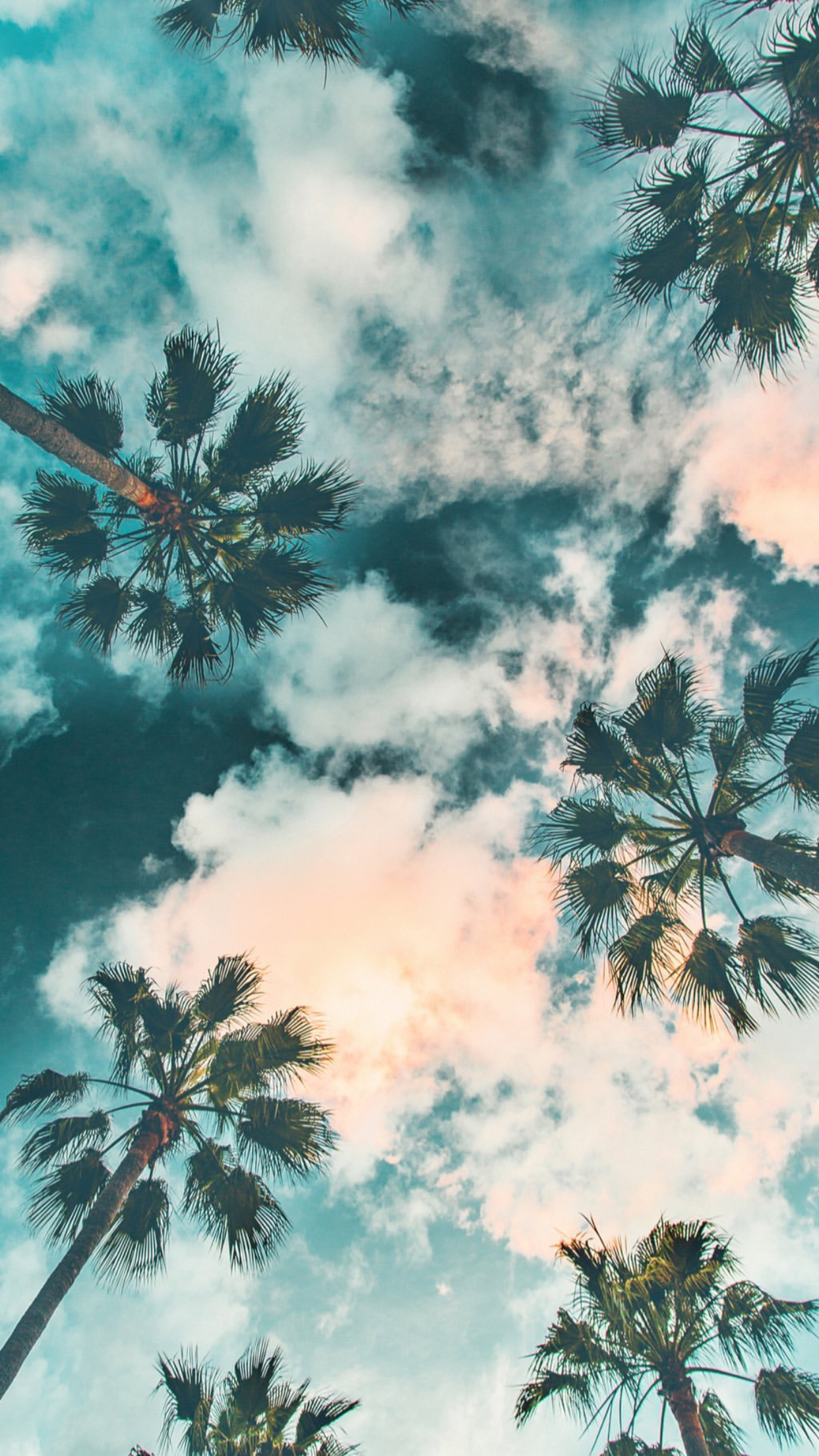 Fondo de pantalla   1242x2208