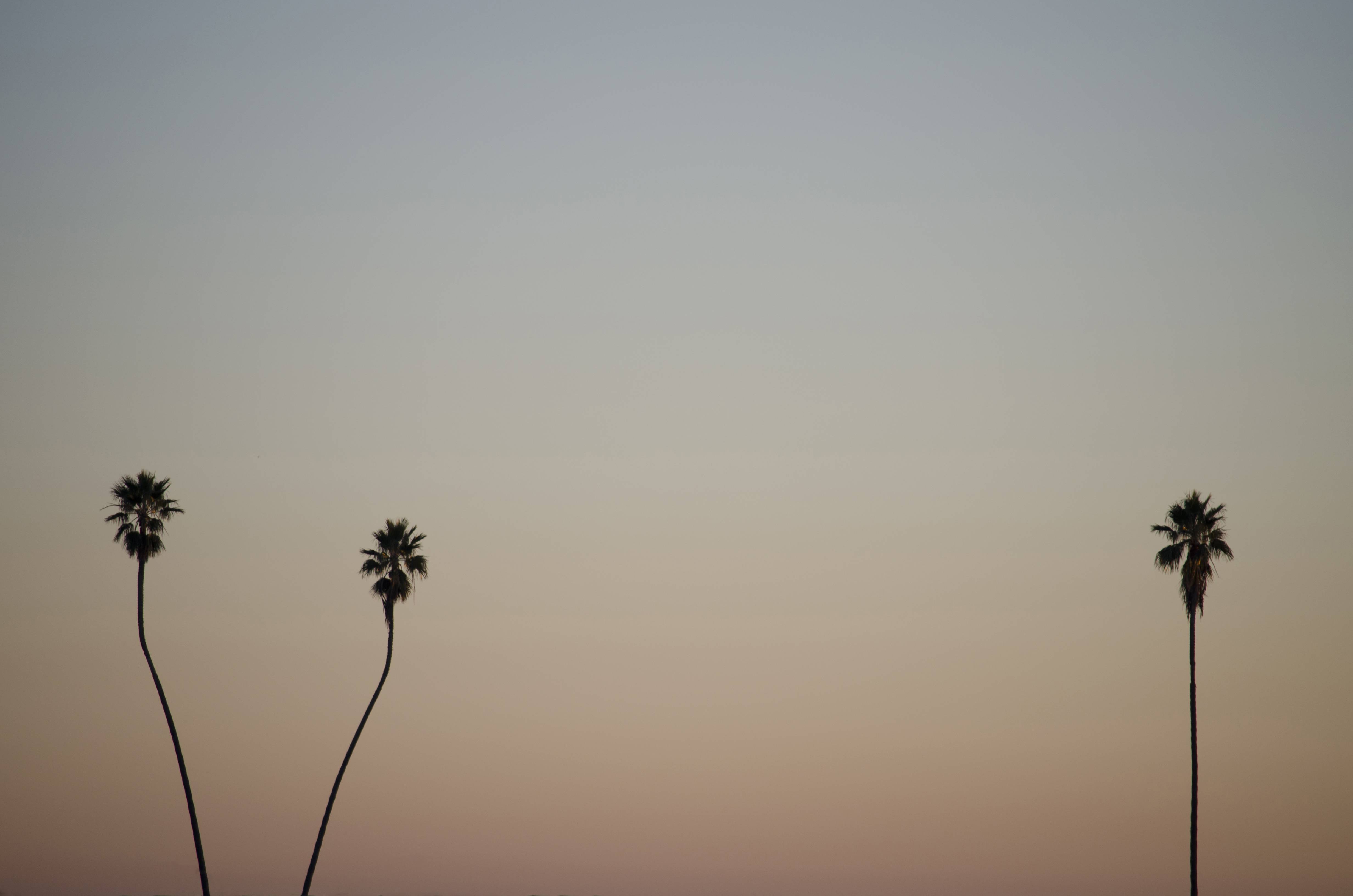 Fondo de pantalla de  4928x3264
