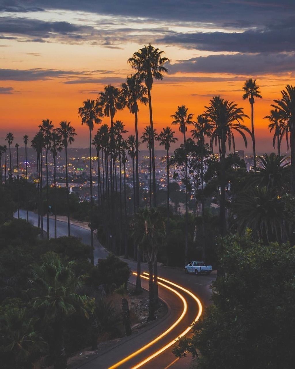 Fondo de pantalla de  1024x1280
