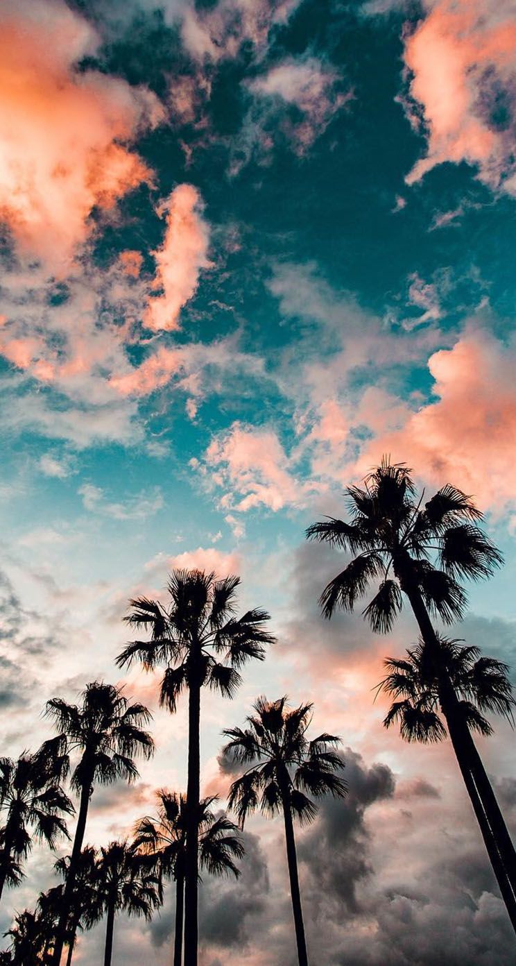 Fondo de pantalla de  744x1392
