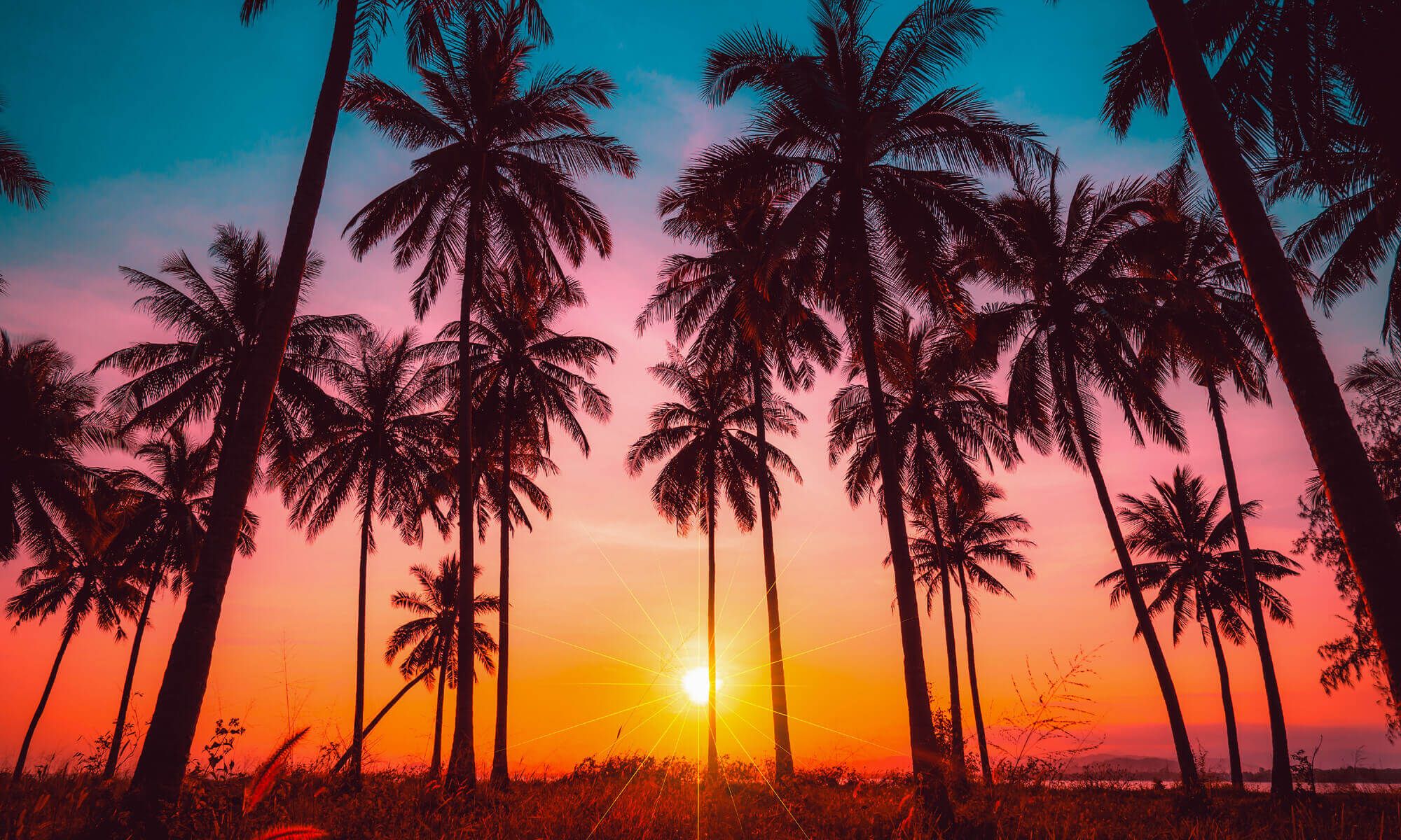 Fondo de pantalla de  2000x1200