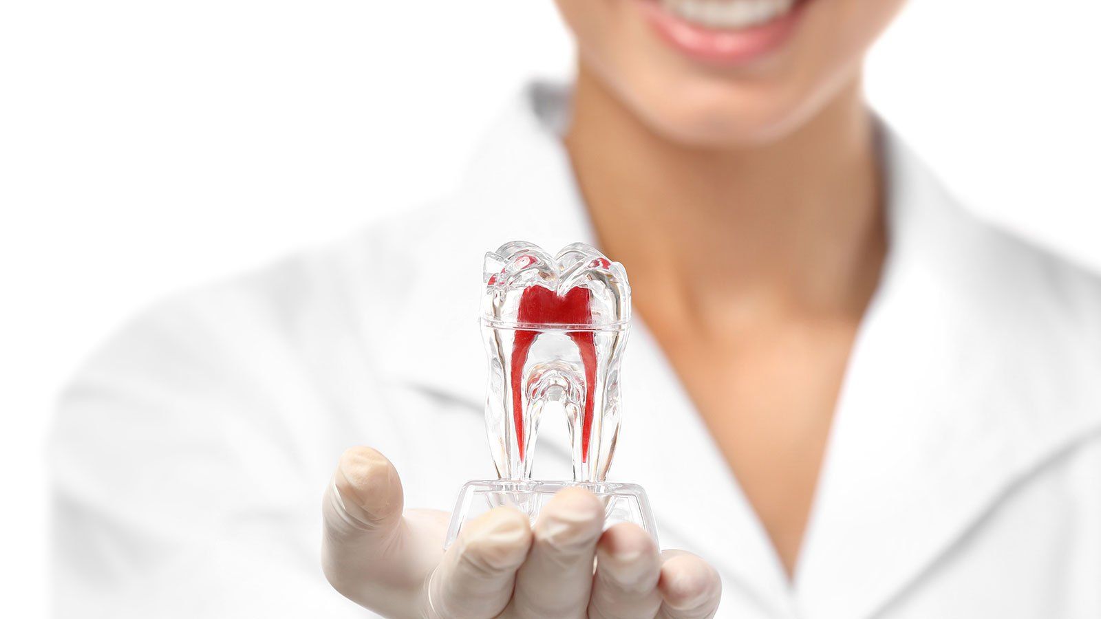 Fondo de pantalla de  1600x900