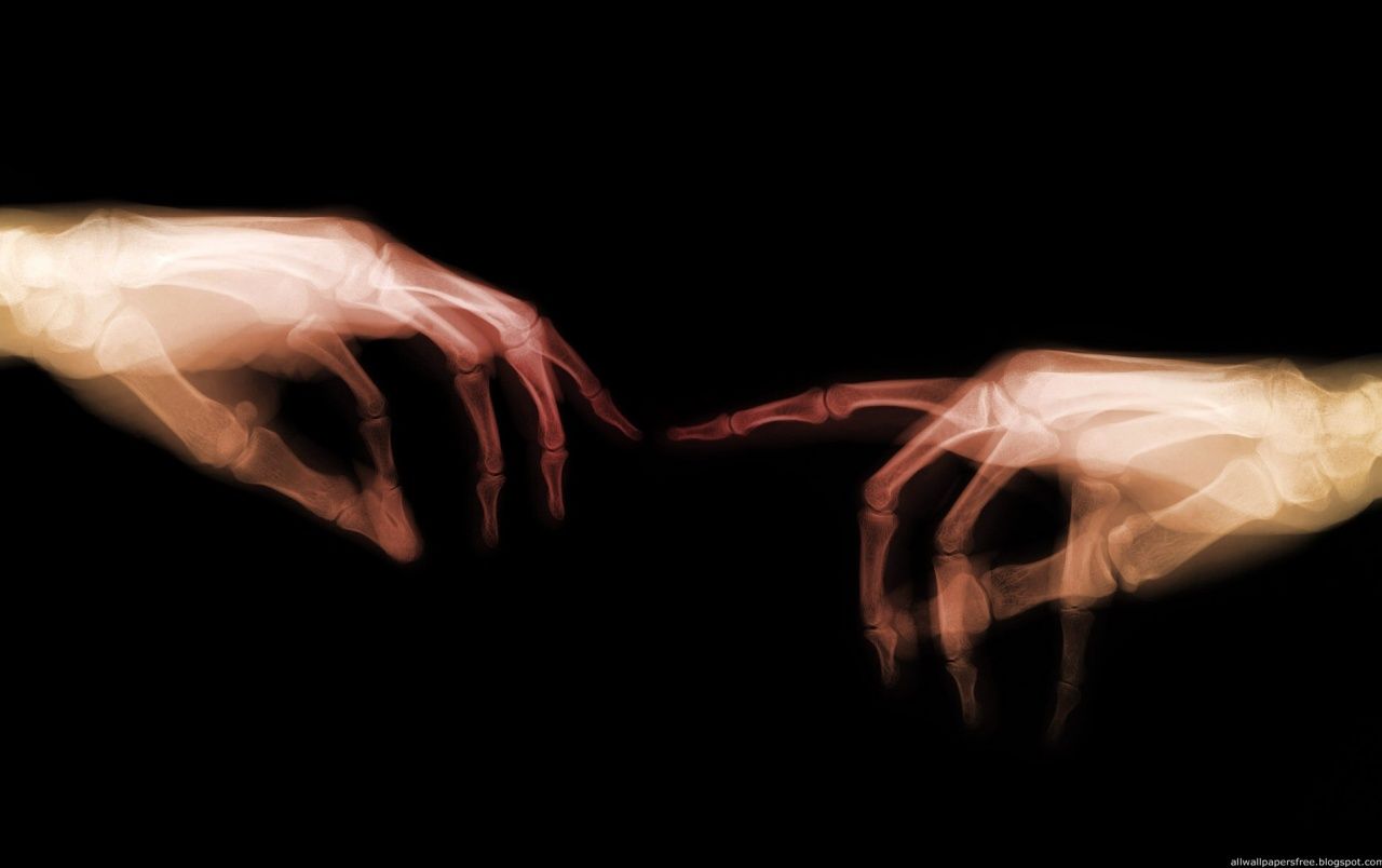 Fondo de pantalla de  1280x804