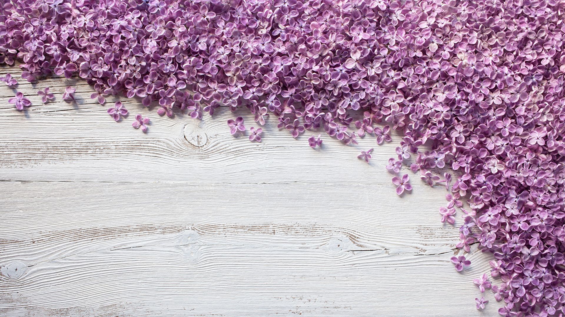 Fondo de pantalla   1920x1080