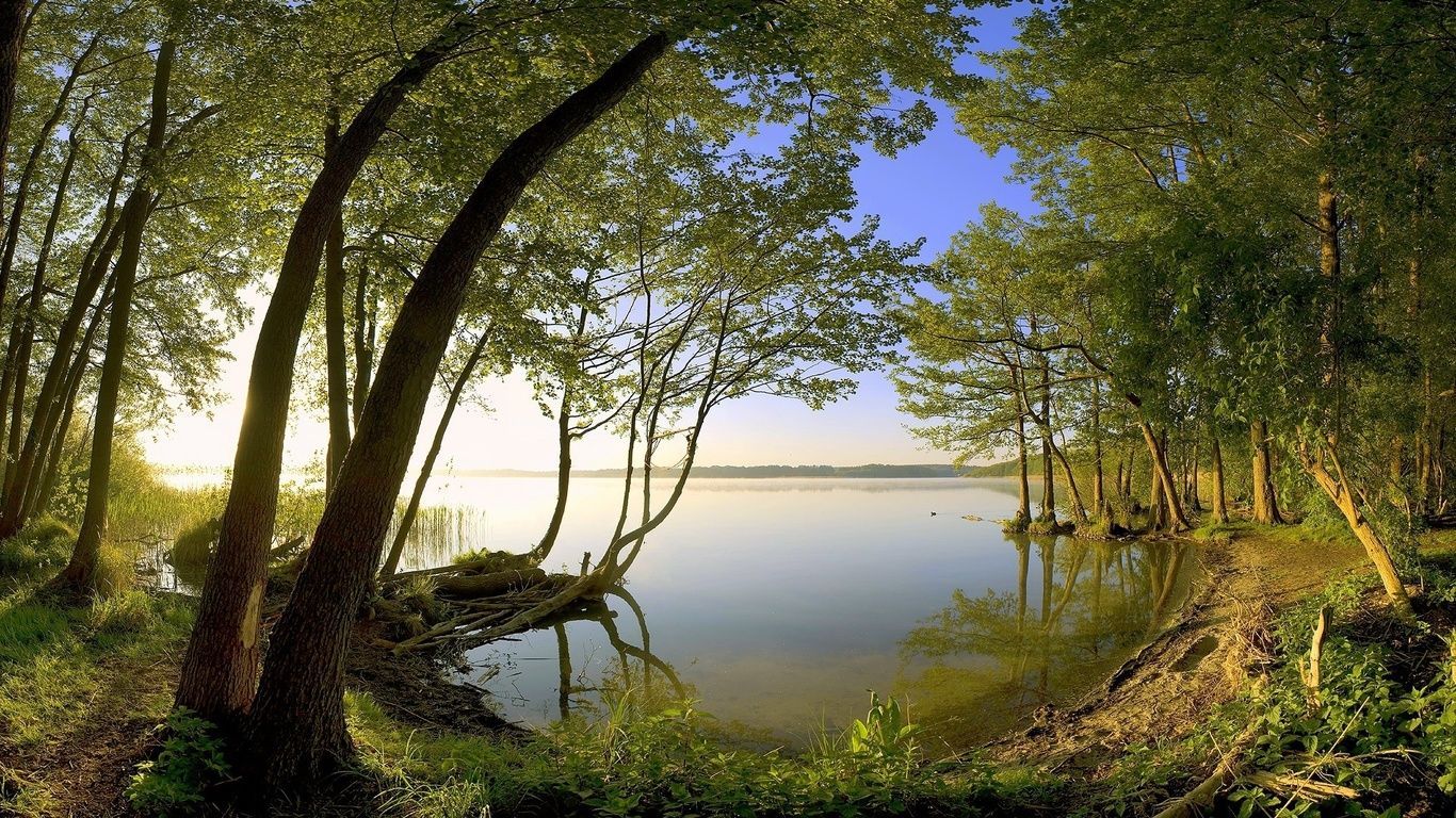 Fondo de pantalla de  1366x768