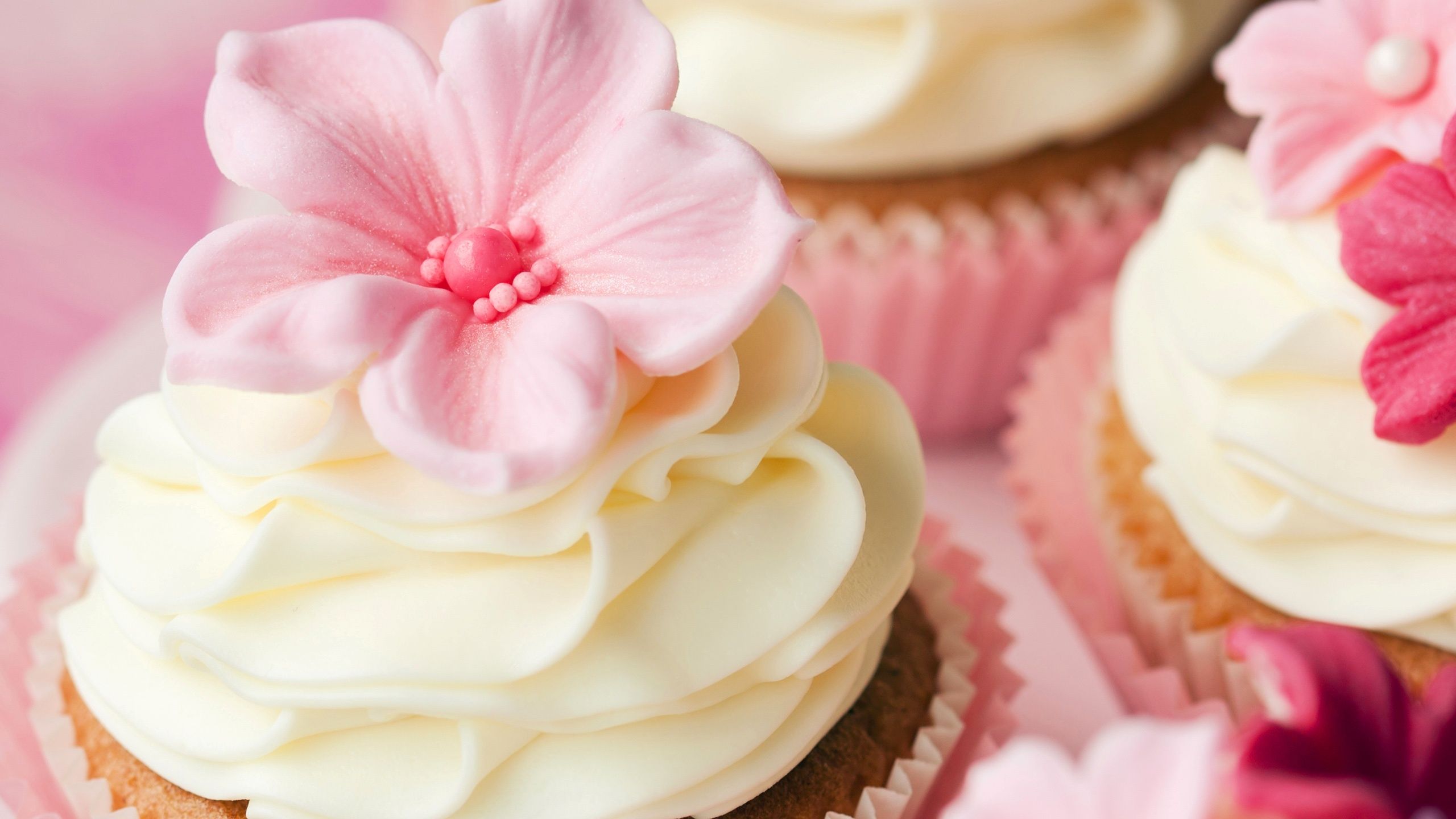 Fondo de pantalla de  2560x1440