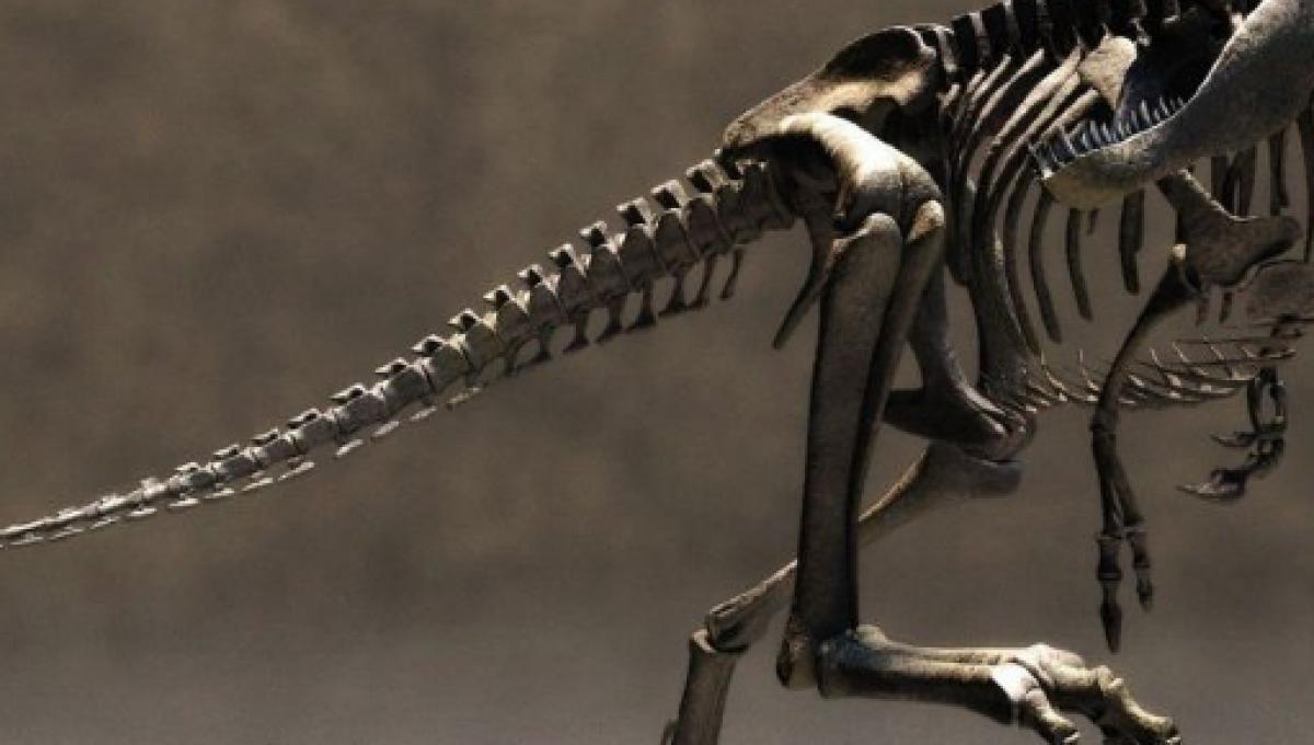 Fondo de pantalla de  1200x680