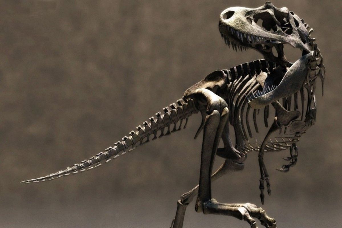 Fondo de pantalla de  1200x800