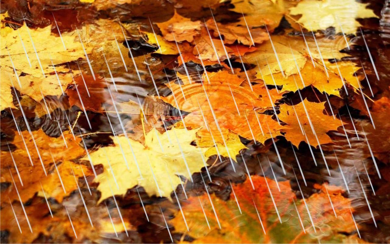 Fondo de pantalla de  1280x800