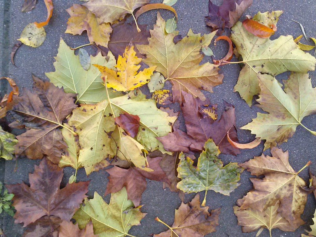 Fondo de pantalla de  1024x768