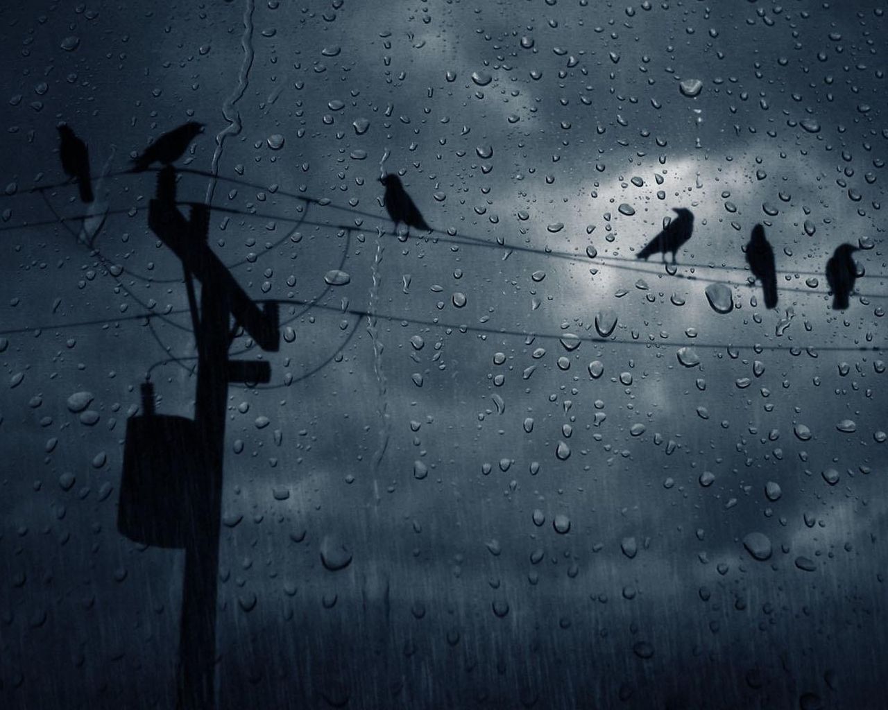 Fondo de pantalla de  1280x1024