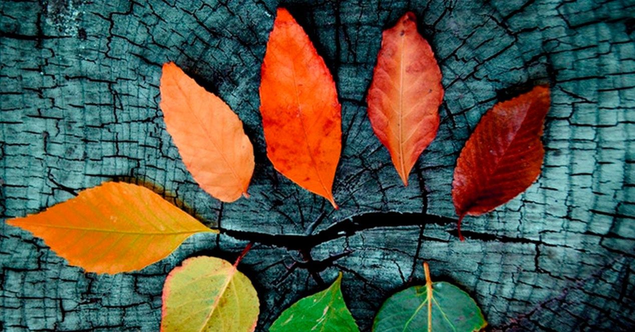 Fondo de pantalla de  1268x664