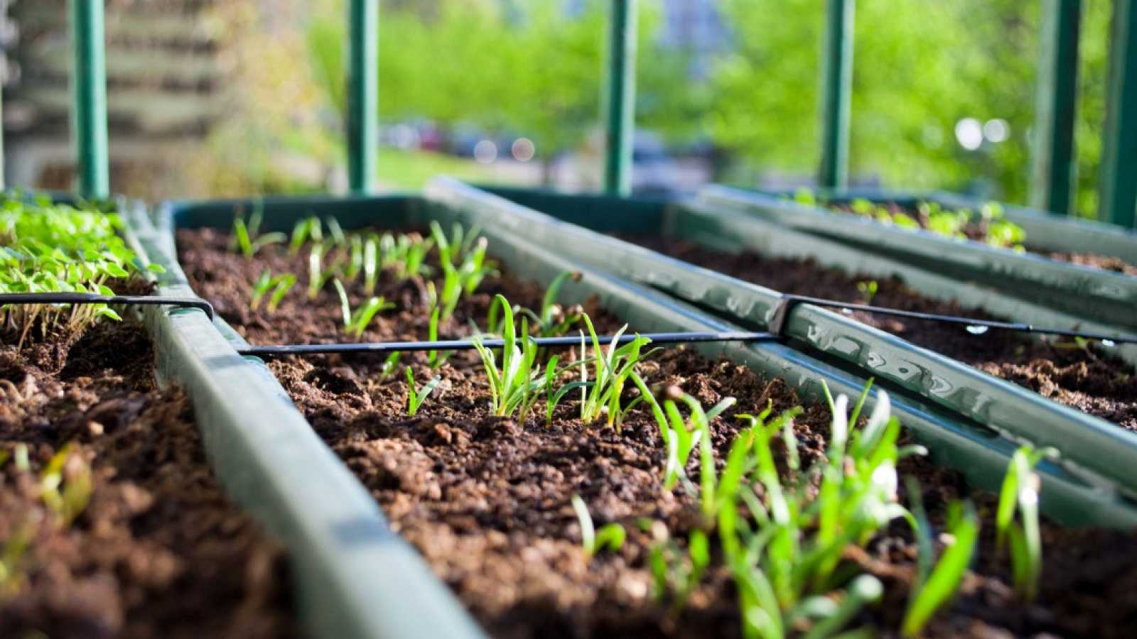 Fondo de pantalla de  1600x900