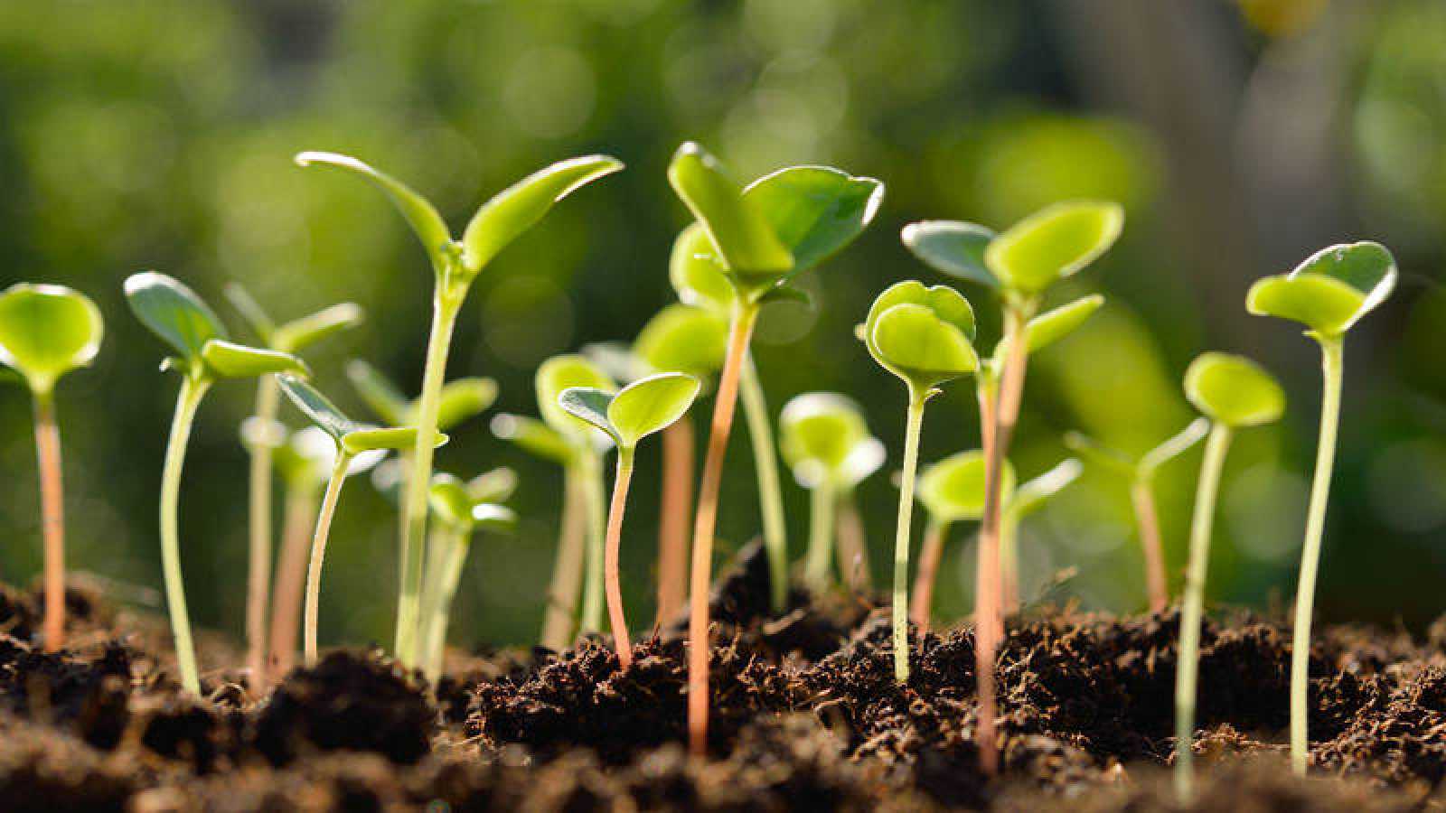 Fondo de pantalla de  1600x900