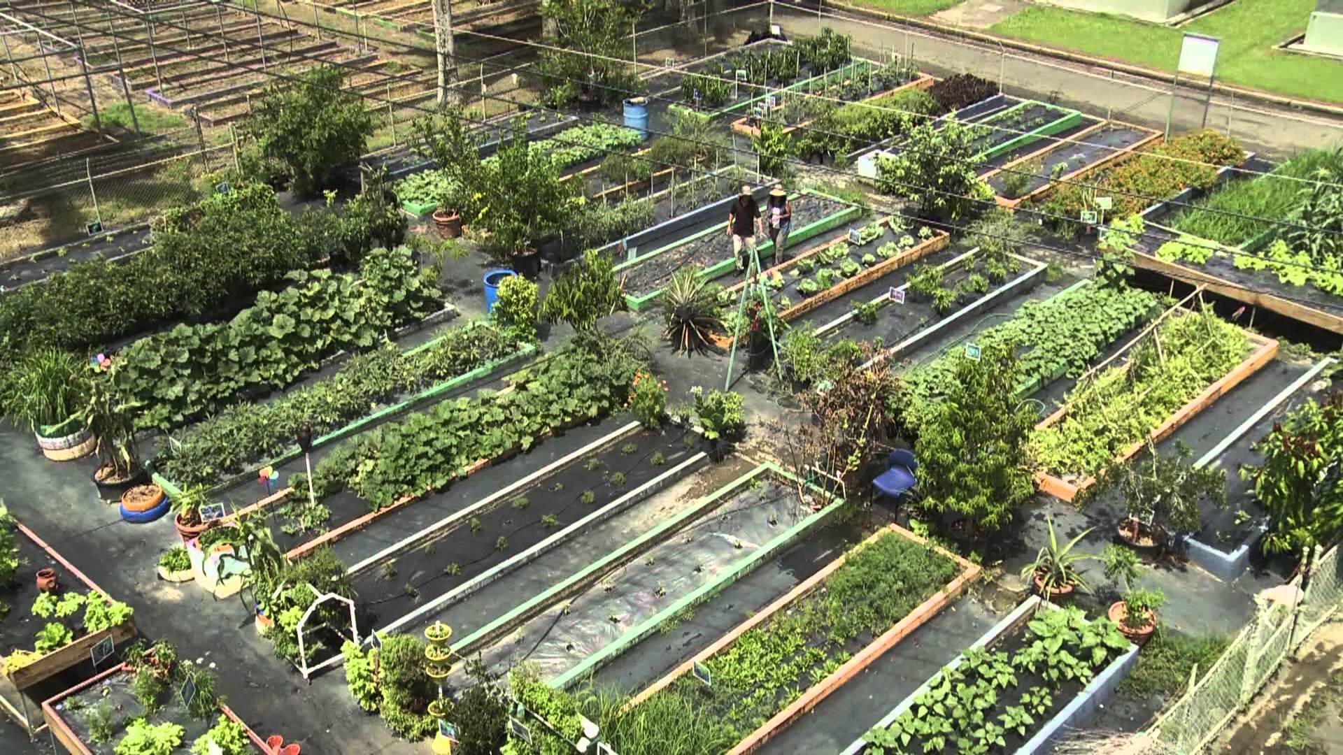 Fondo de pantalla de  1920x1080