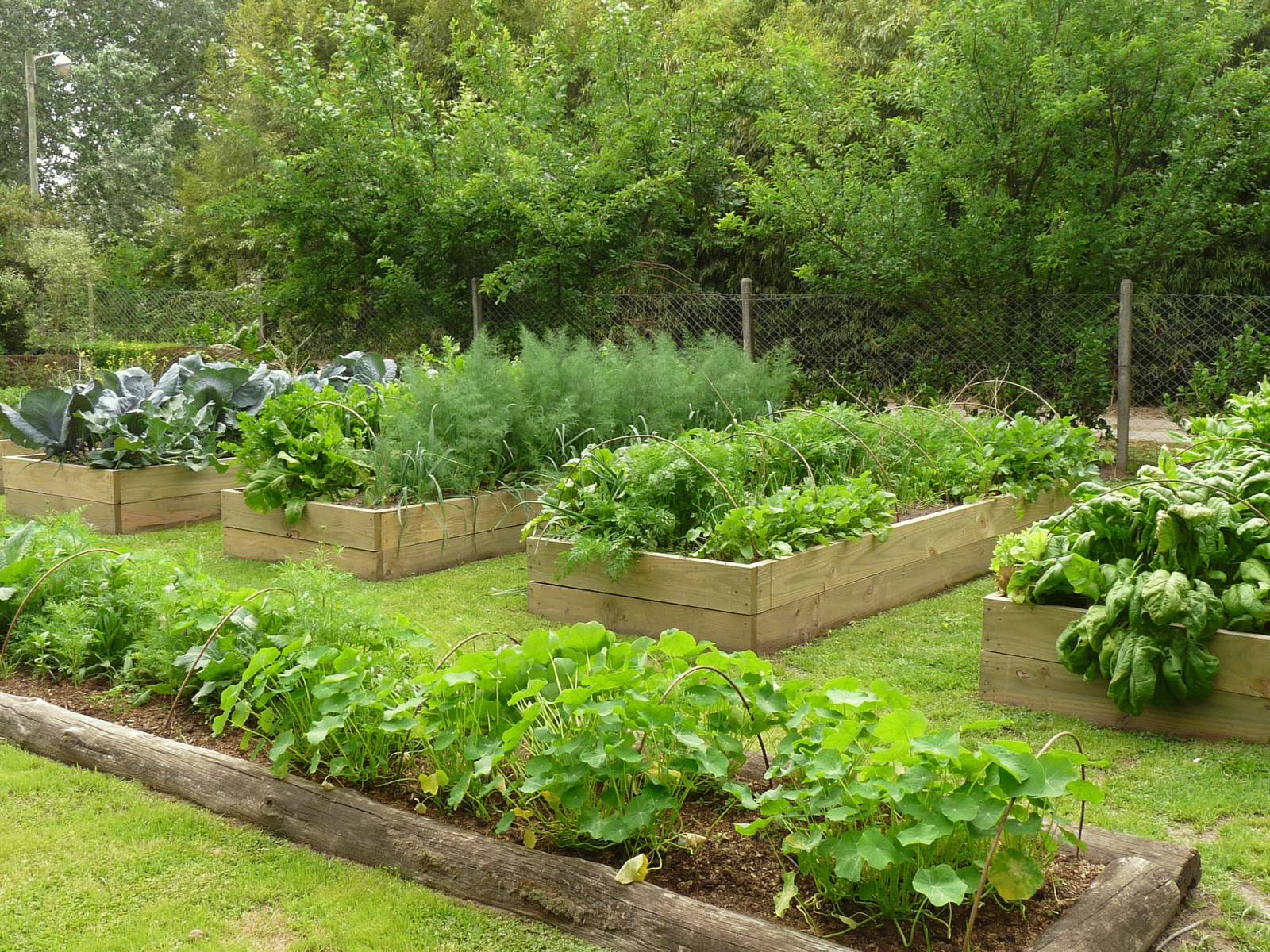 Fondo de pantalla de  1600x1200