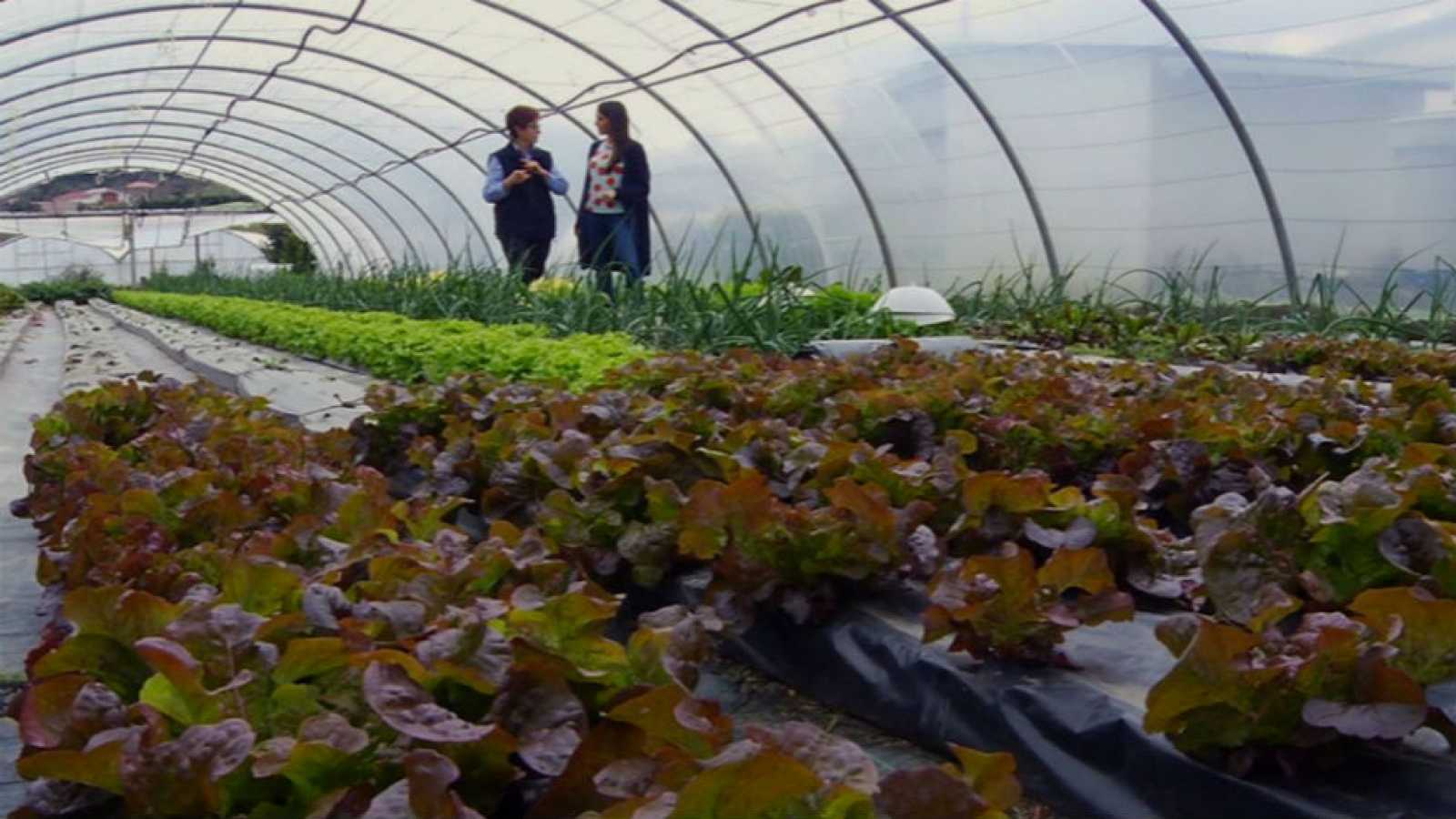 Fondo de pantalla de  1600x900