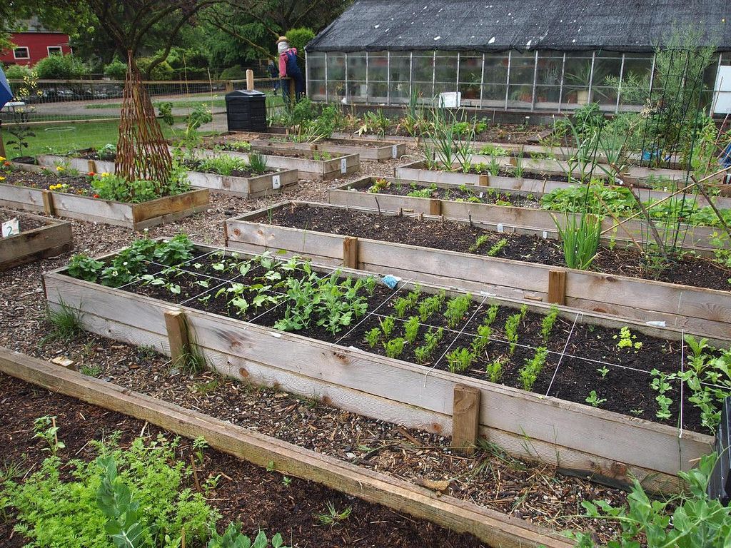 Fondo de pantalla de  1024x768