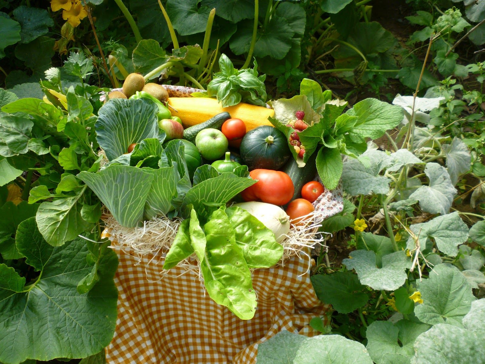 Fondo de pantalla de  1600x1200