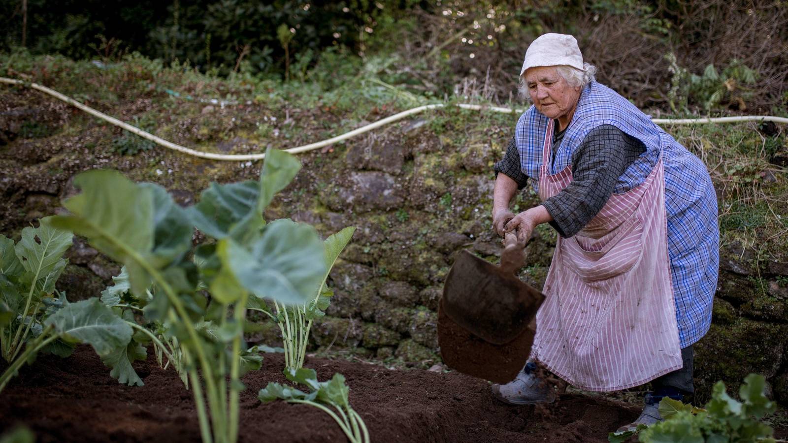 Fondo de pantalla de  1600x900