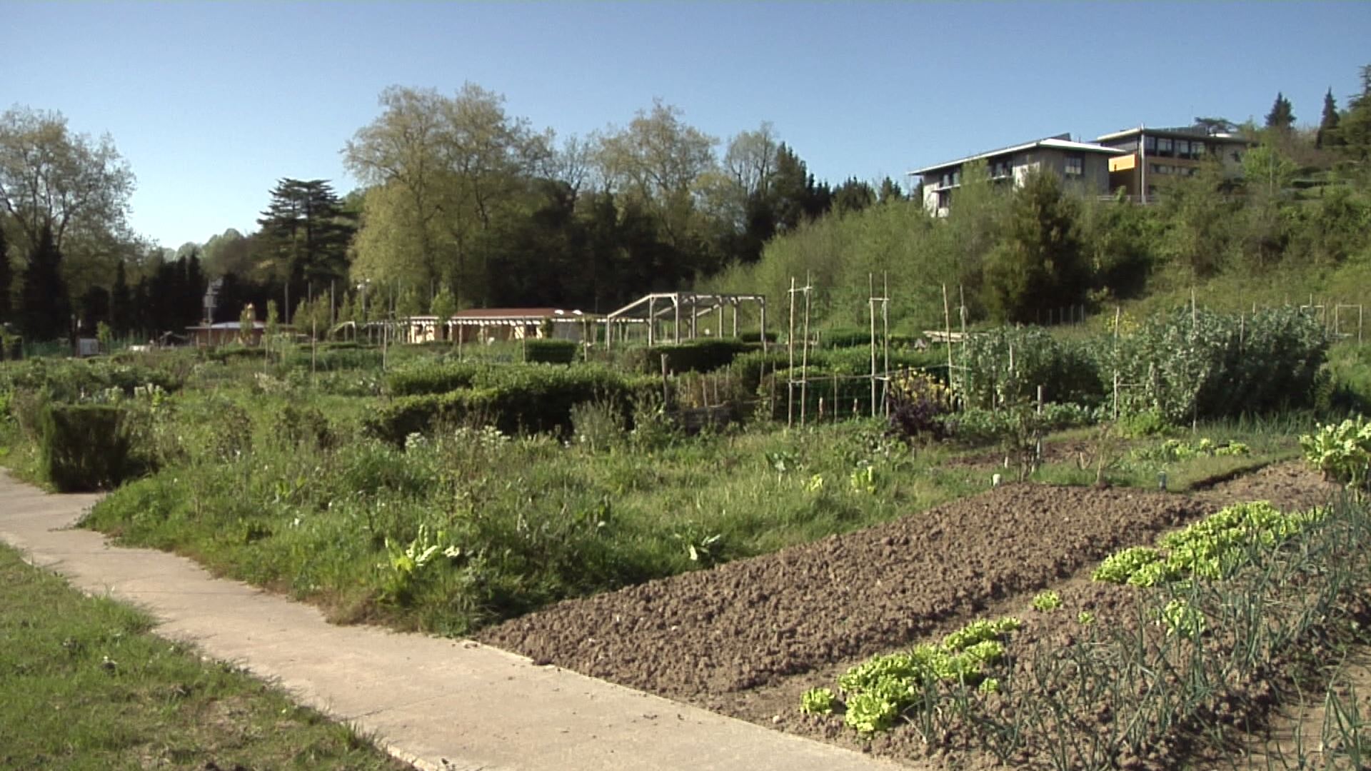 Fondo de pantalla de  1920x1080