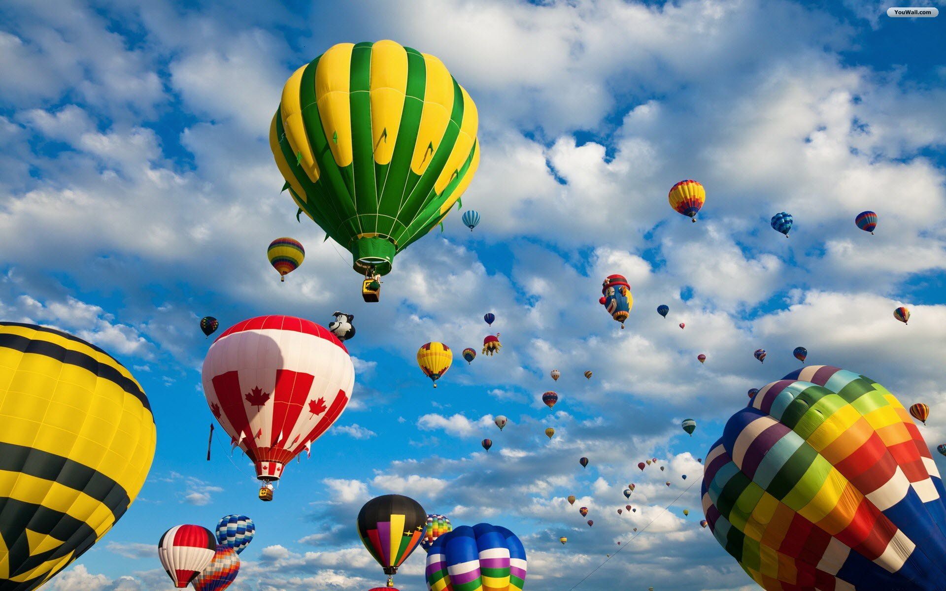 Beautiful Air Balloons Wallpaper