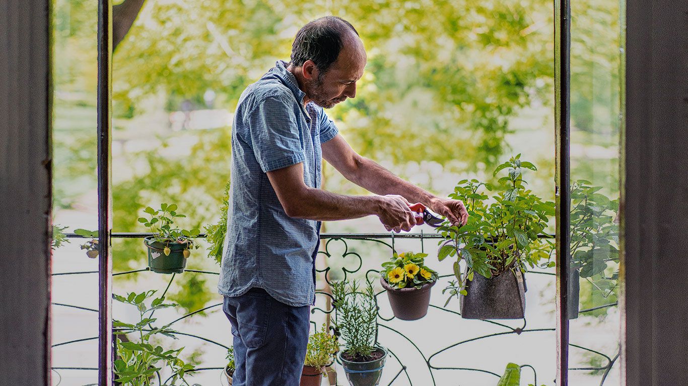 Fondo de pantalla de  1366x768