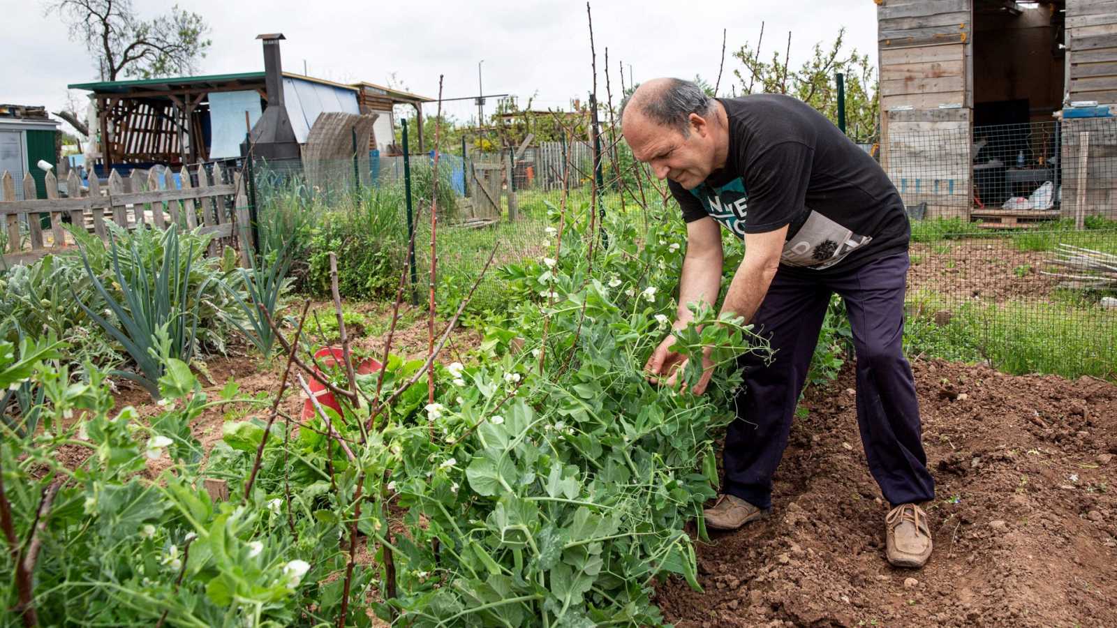 Fondo de pantalla de  1600x900